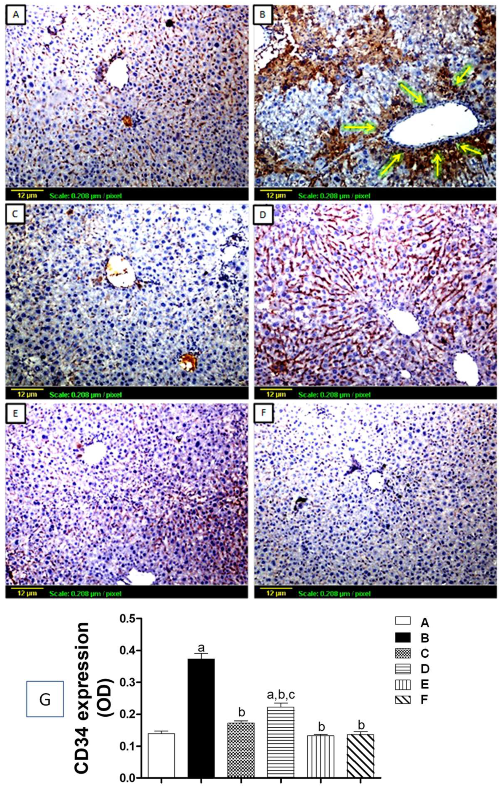 Biomedicines 11 01342 g006 Biomedicines 11 01342 g006