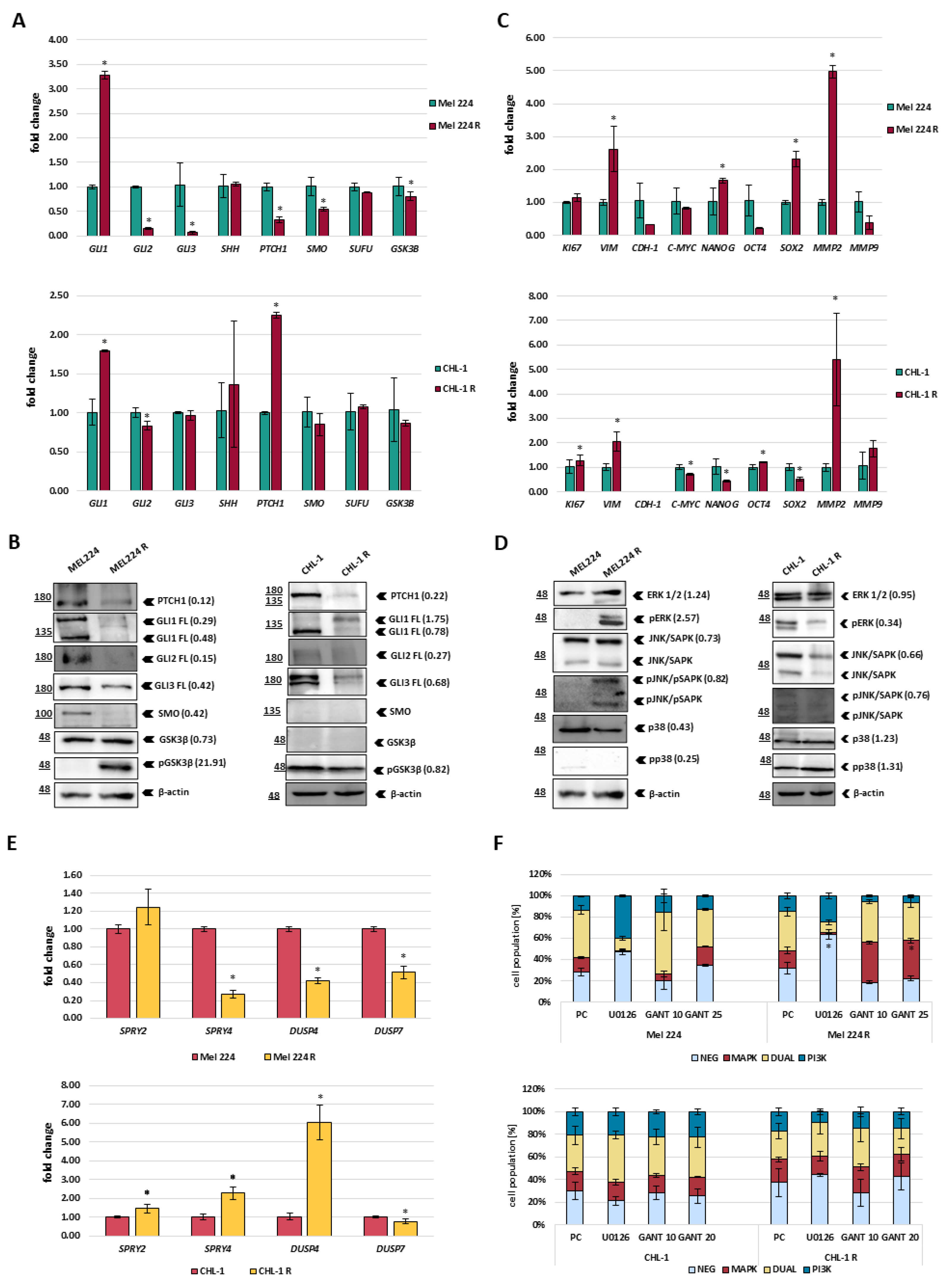 Biomedicines 11 01353 g002