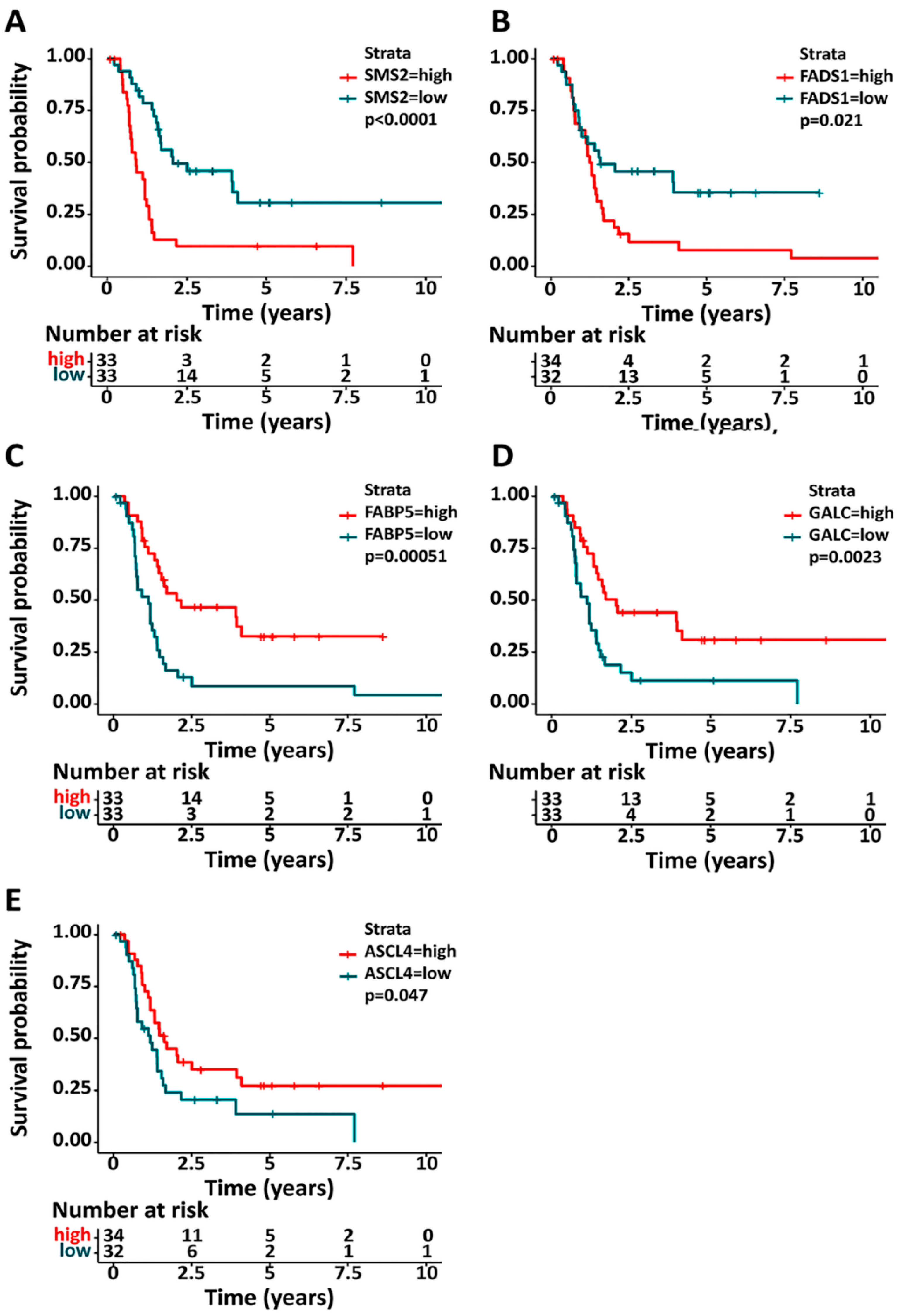 Biomedicines 11 01365 g002 Biomedicines 11 01365 g002