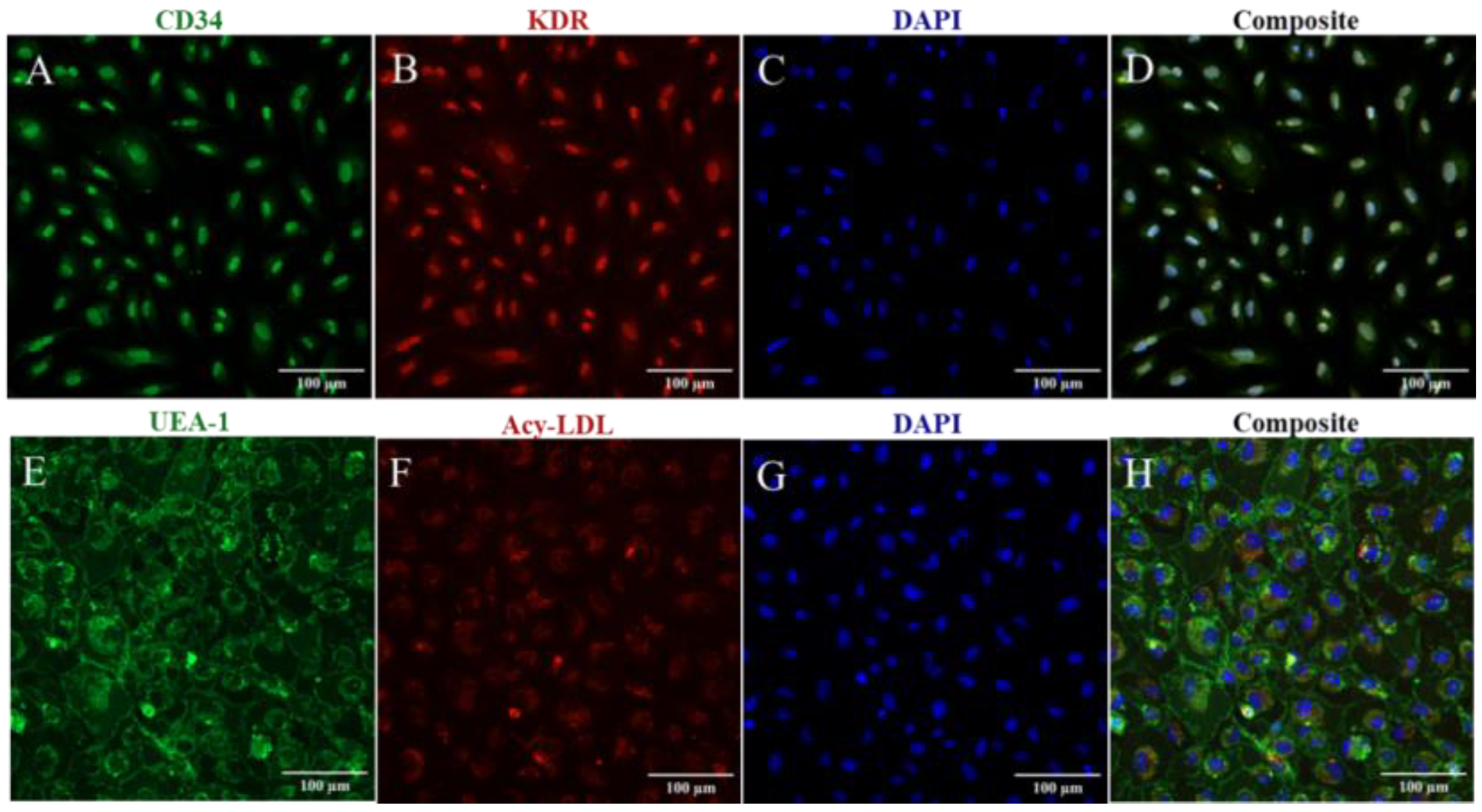 Biomedicines 11 01372 g001 Biomedicines 11 01372 g001