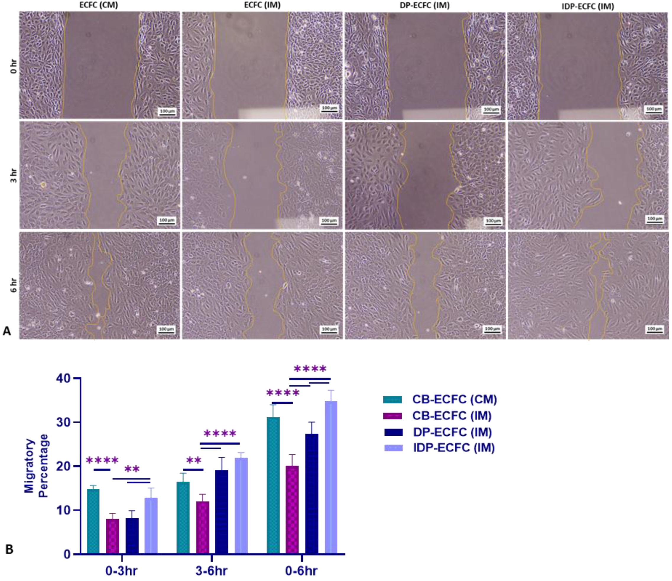 Biomedicines 11 01372 g006 Biomedicines 11 01372 g006