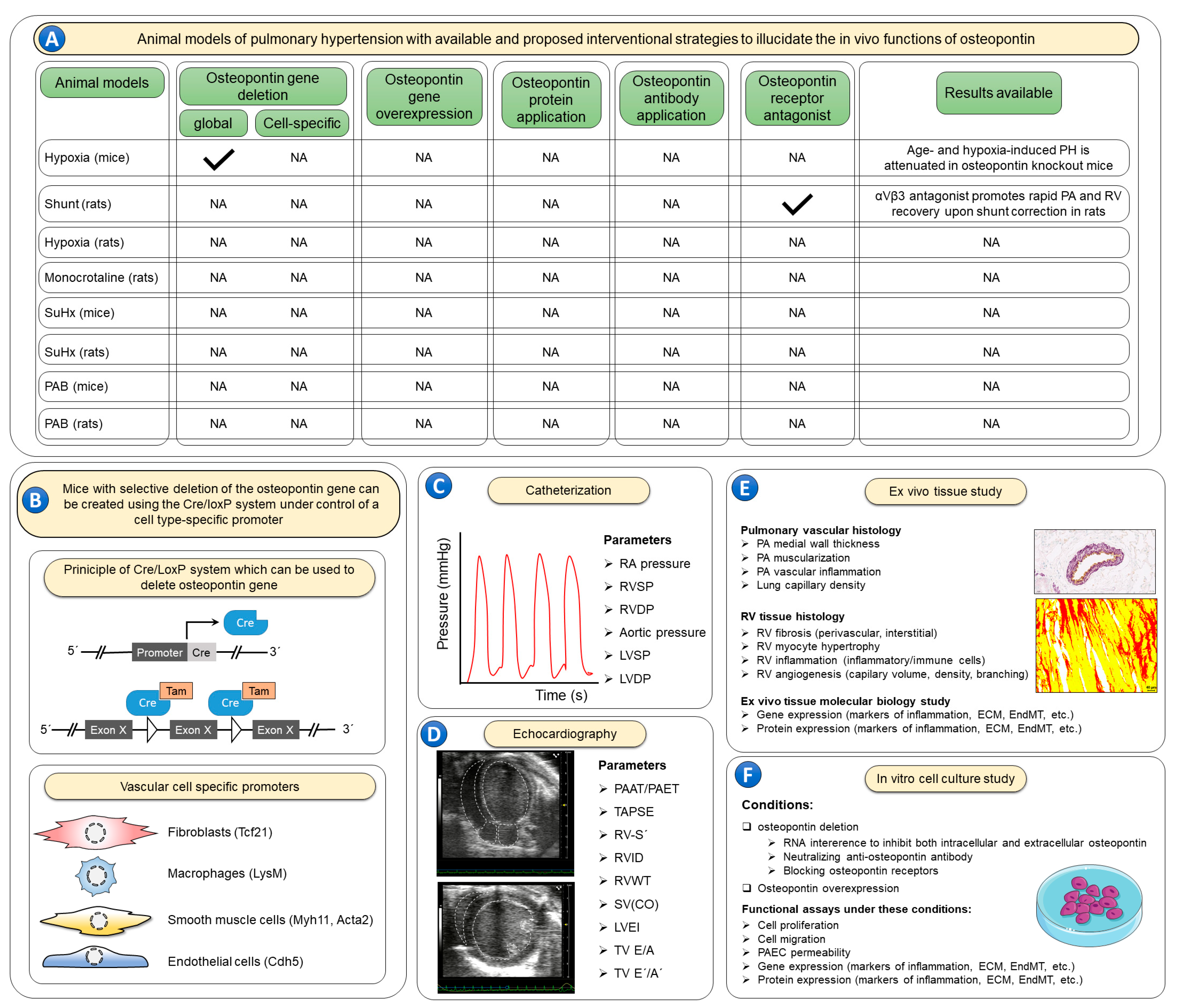 Biomedicines 11 01385 g003 Biomedicines 11 01385 g003