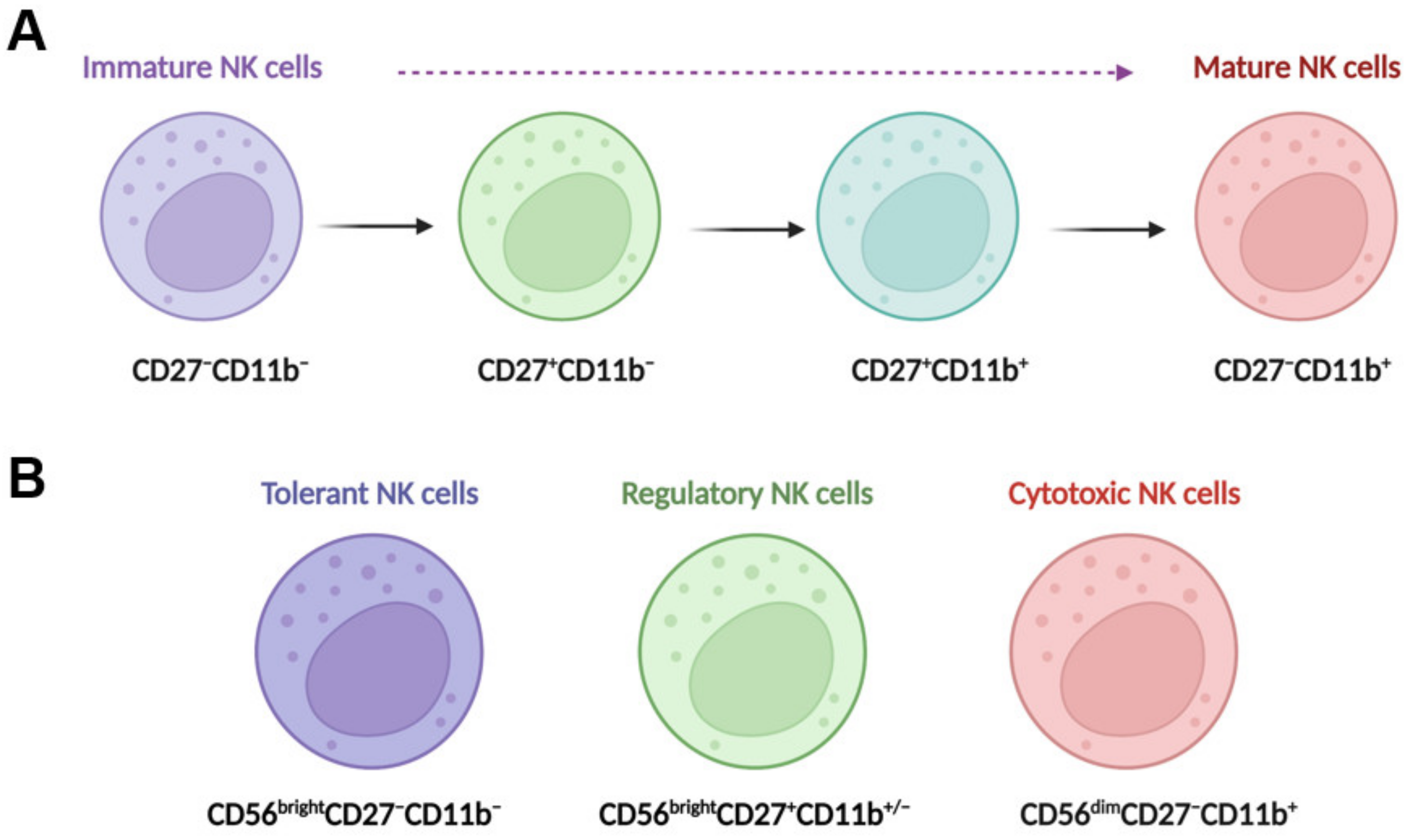 Biomedicines 11 01391 g001 Biomedicines 11 01391 g001