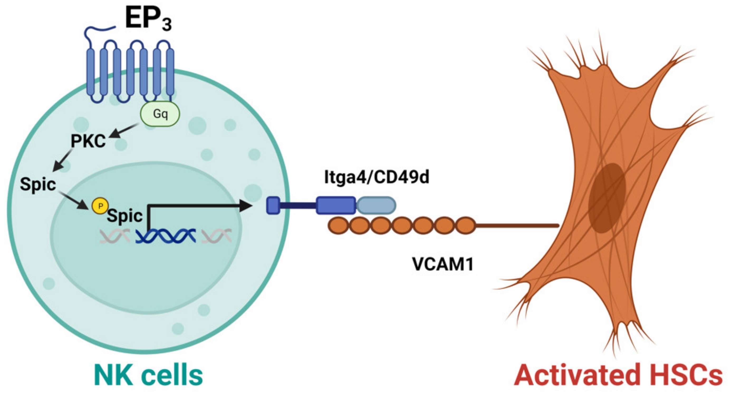 Biomedicines 11 01391 g002 Biomedicines 11 01391 g002