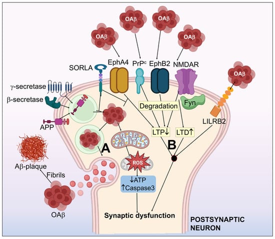 Biomedicines | Free Full-Text | An Insight Into Cellular And Molecular ...