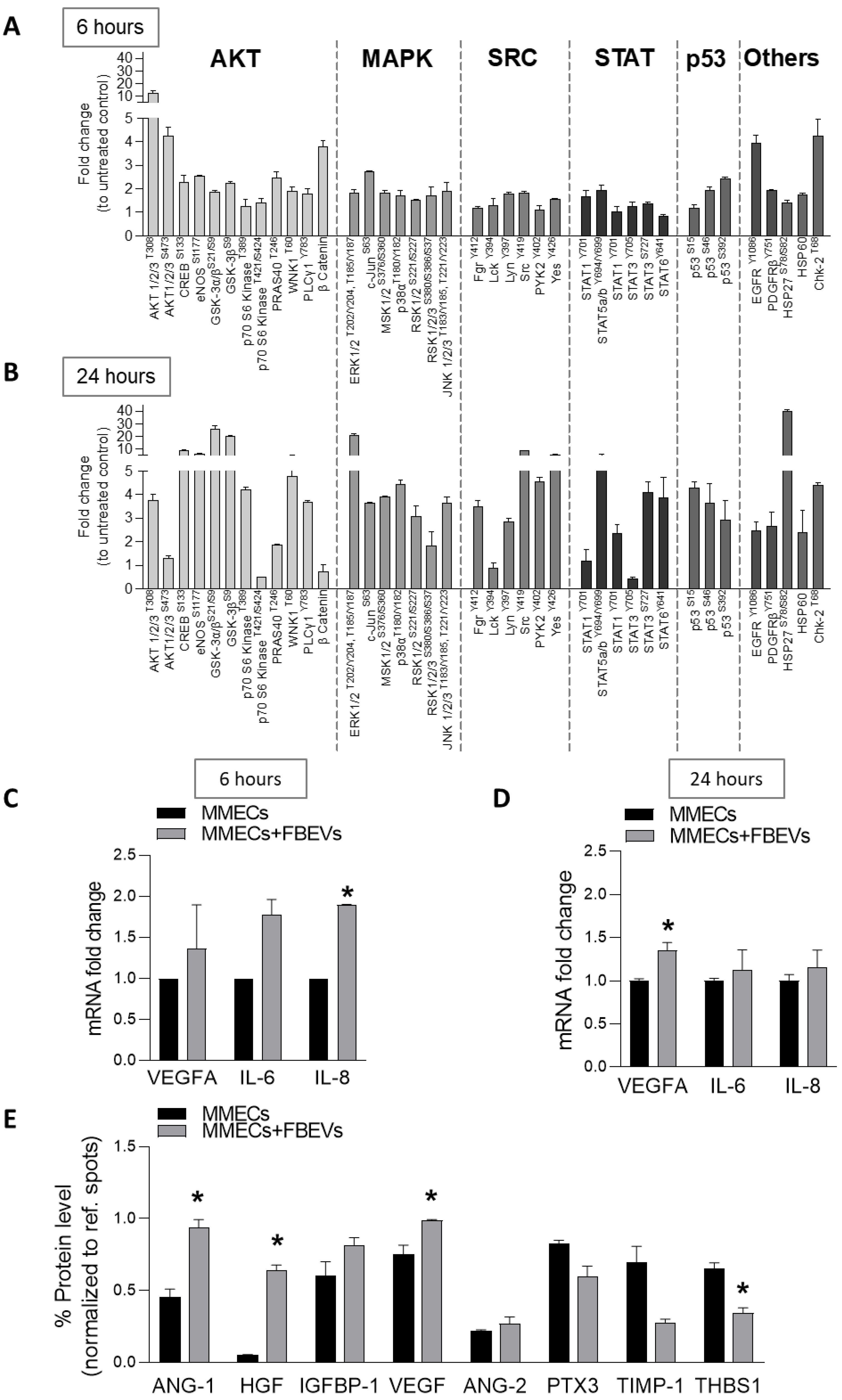 Biomedicines 11 01400 g004