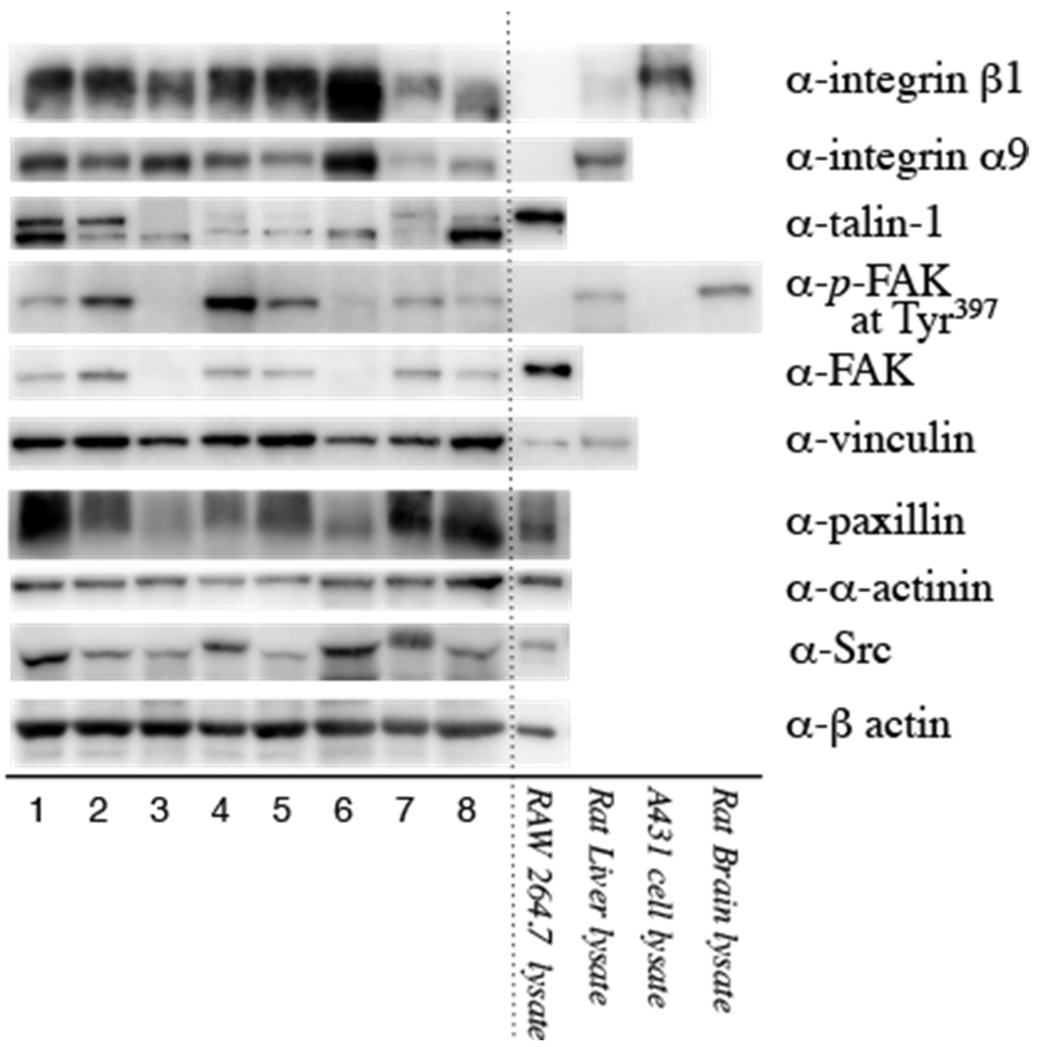 Biomedicines 11 01440 g002 Biomedicines 11 01440 g002