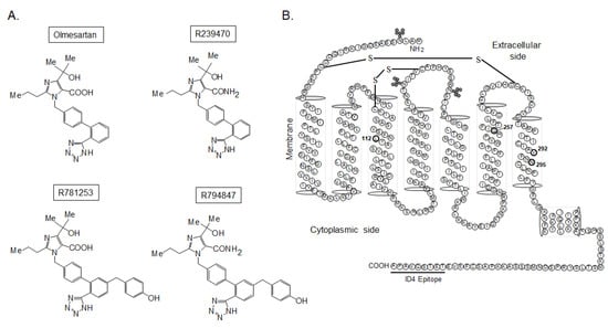 Advances in the Development of Nonpeptide Small Molecules