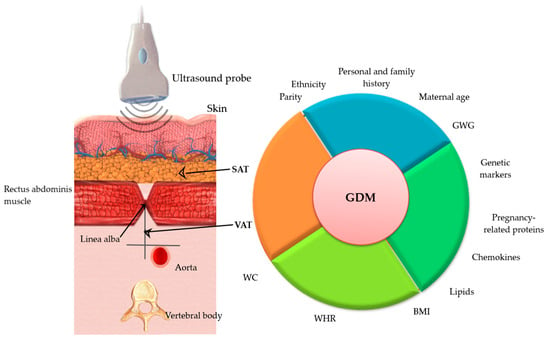 Evaluating the Adipose Tissue Depth as a Predictor Factor for Gestational  Diabetes in Later Pregnancy—A Systematic Review