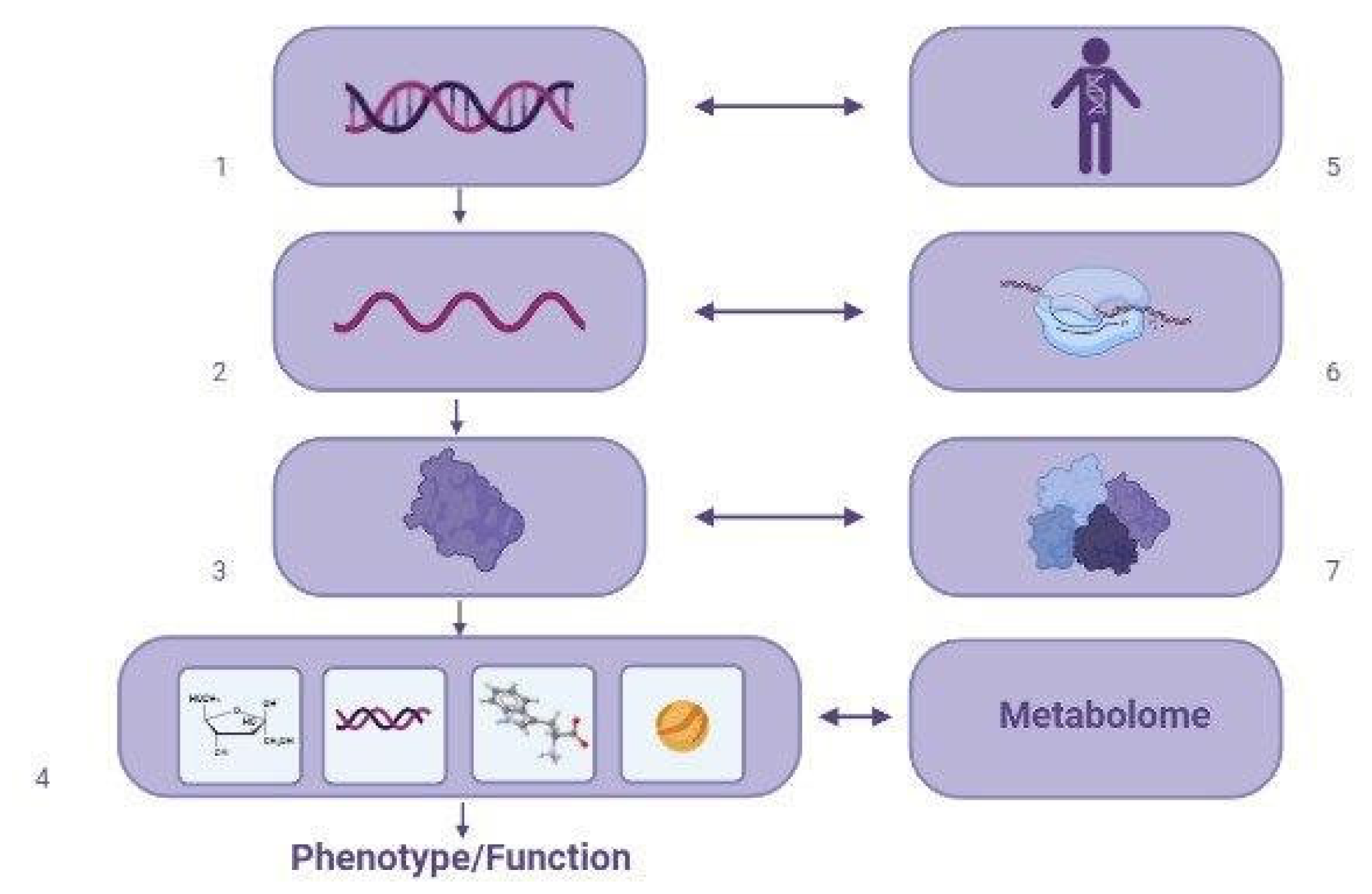 Biomedicines 11 01499 g003 Biomedicines 11 01499 g003