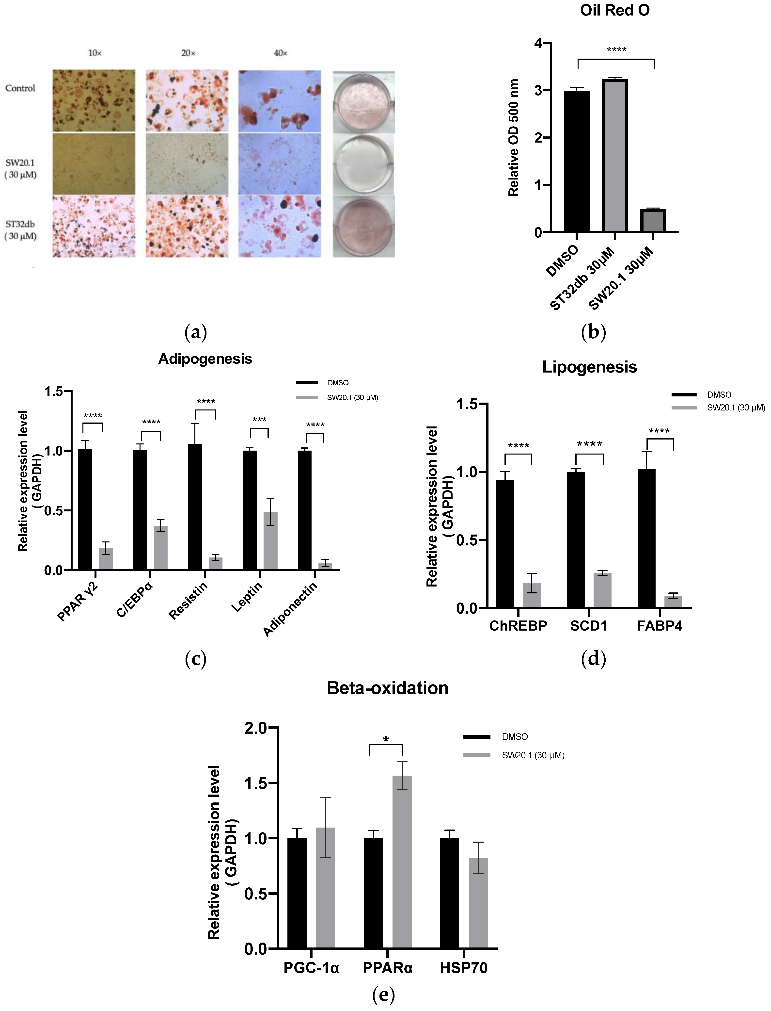 Biomedicines 11 01509 g002