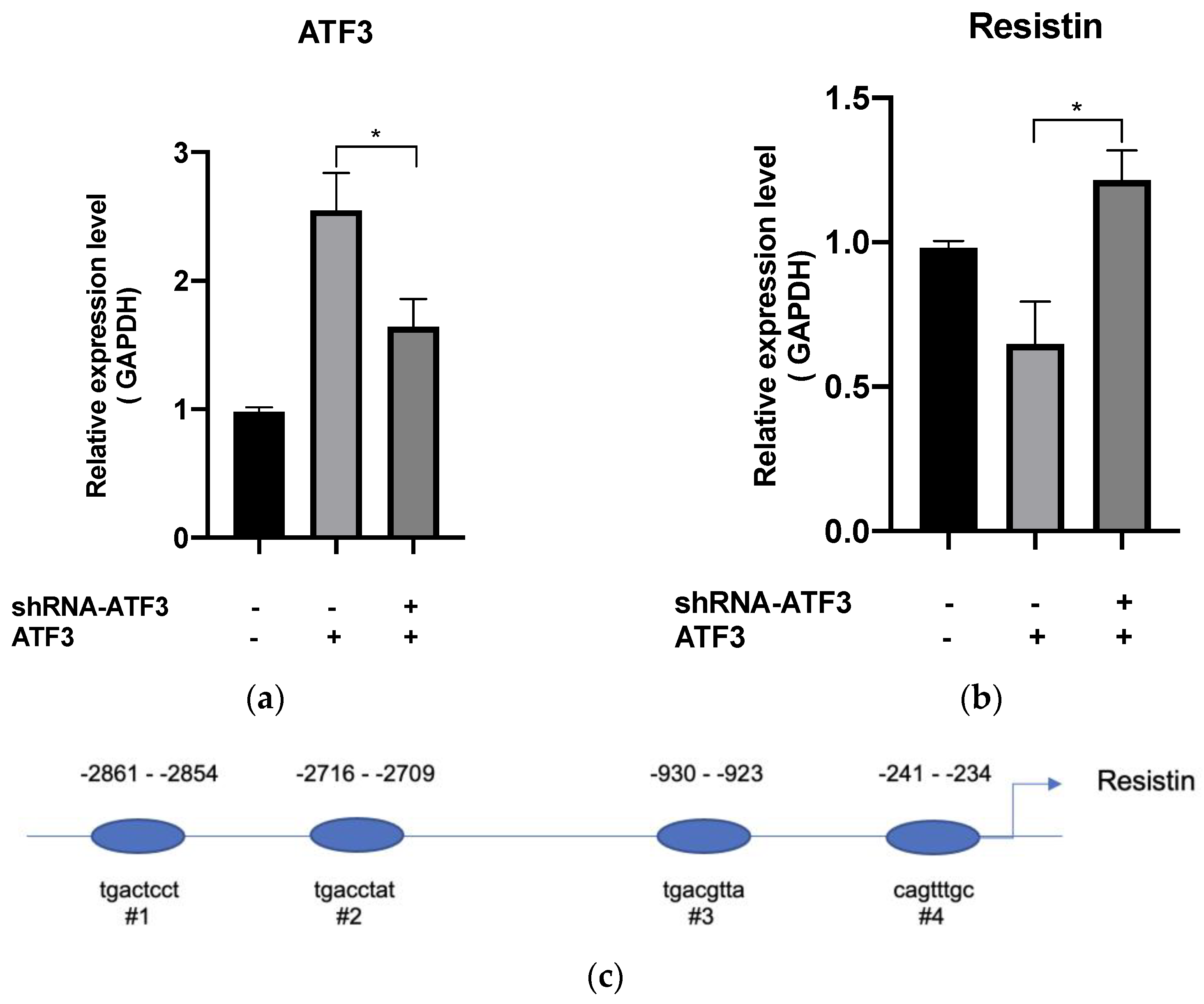 Biomedicines 11 01509 g003a
