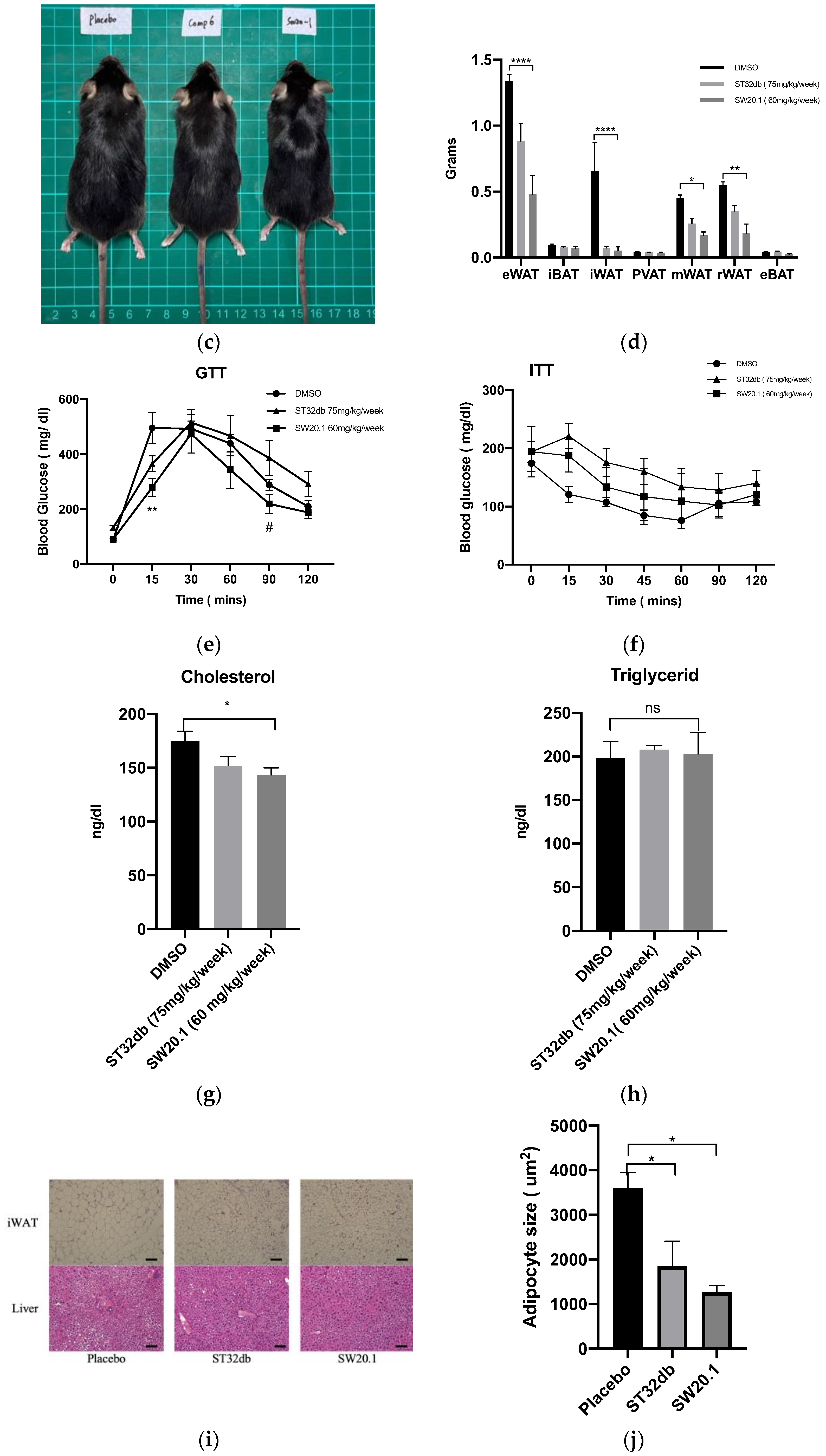 Biomedicines 11 01509 g004b