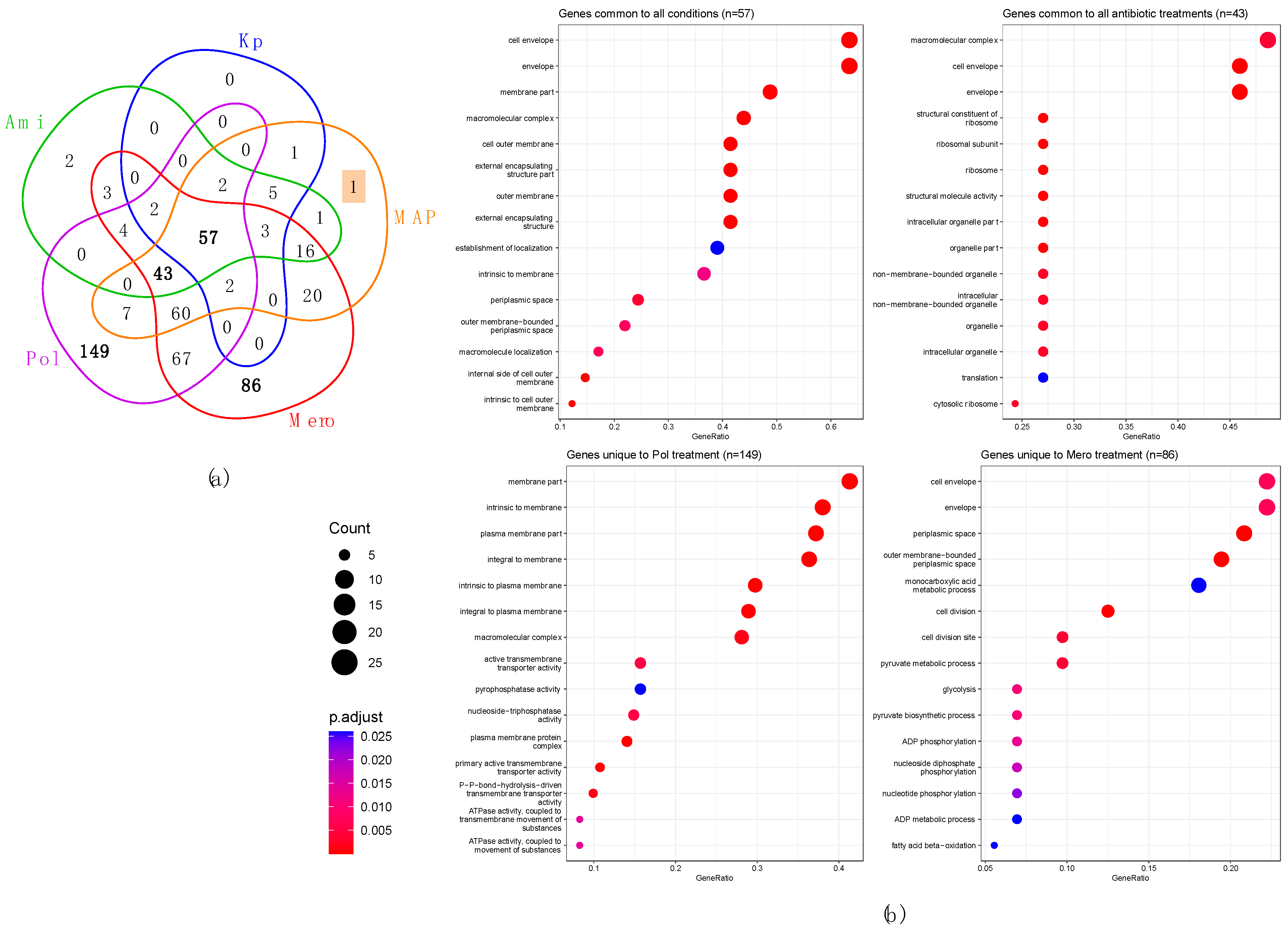 Biomedicines 11 01515 g004 Biomedicines 11 01515 g004