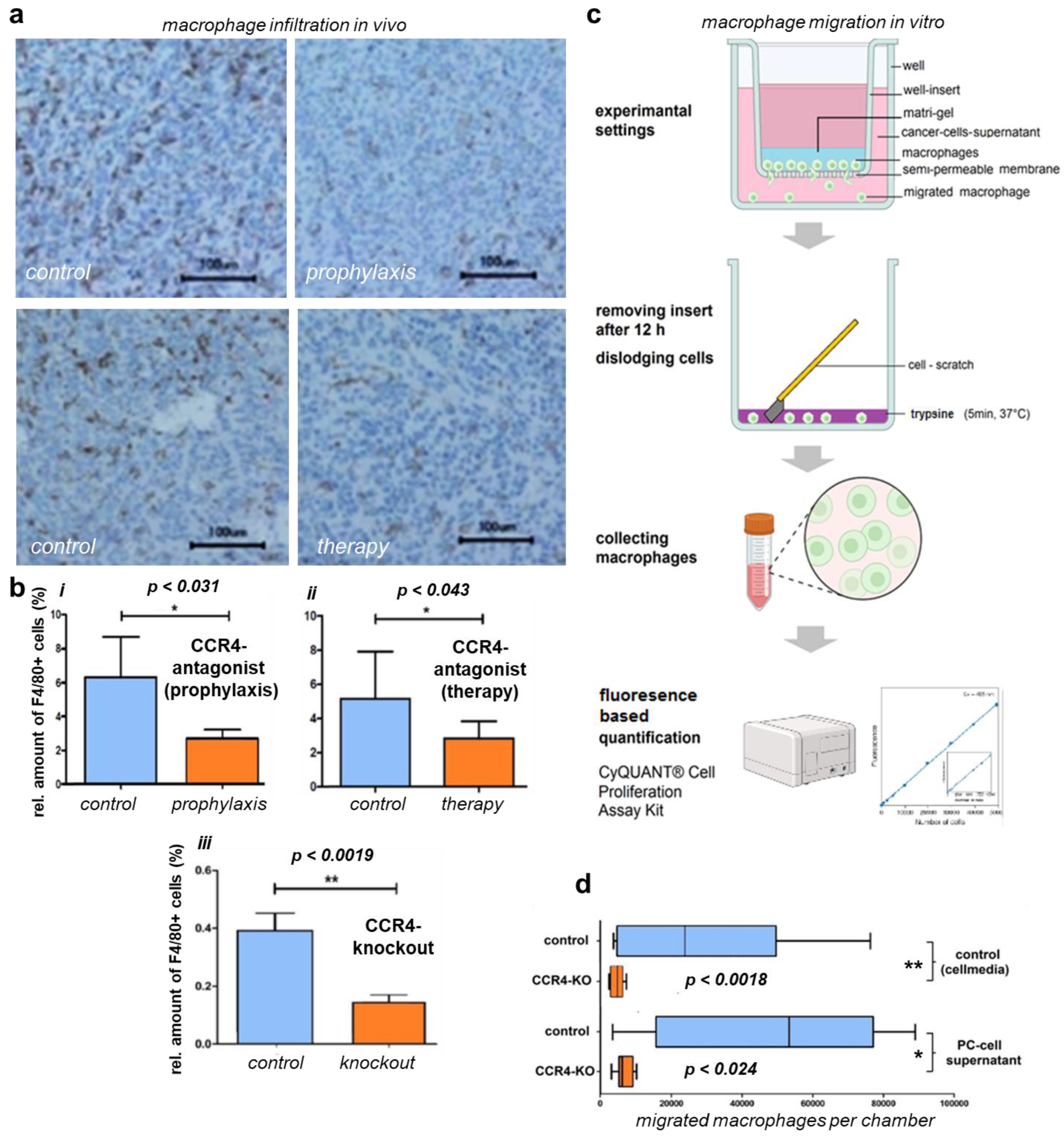 Biomedicines 11 01517 g004 Biomedicines 11 01517 g004