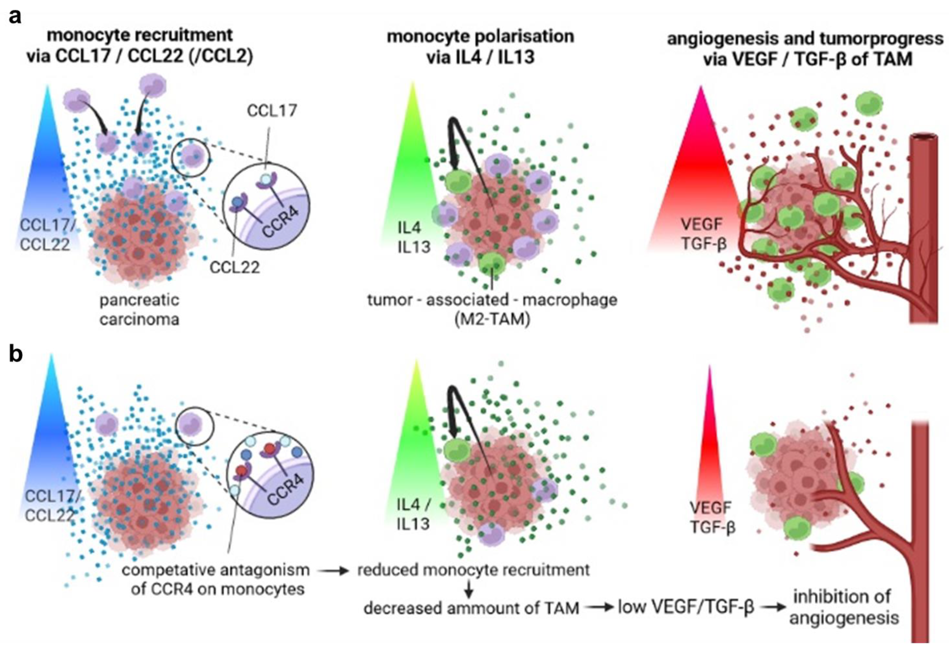 Biomedicines 11 01517 g005 Biomedicines 11 01517 g005