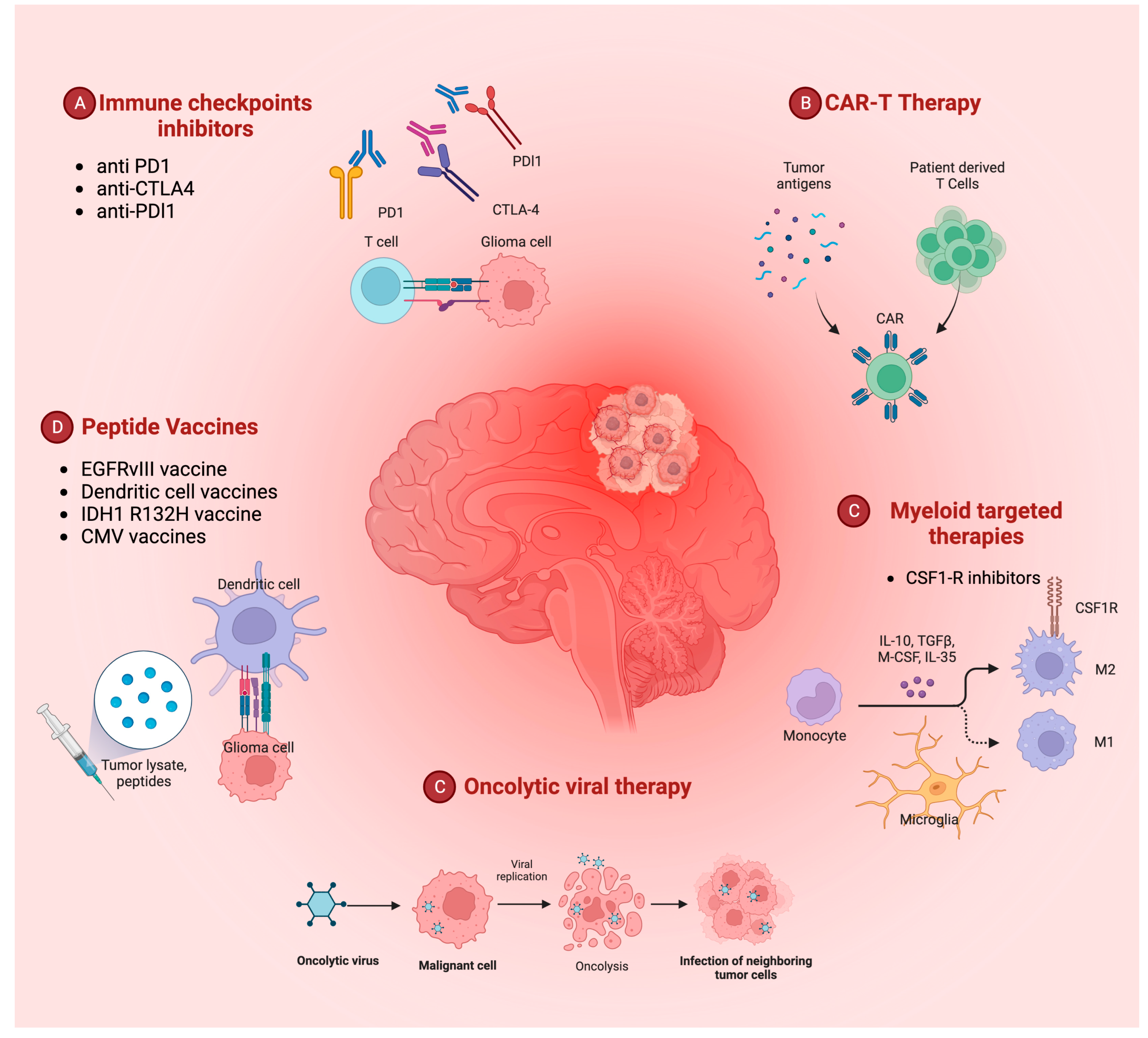 Biomedicines | Free Full-Text | Updates in Glioblastoma Immunotherapy: An  Overview of the Current Clinical and Translational Scenario