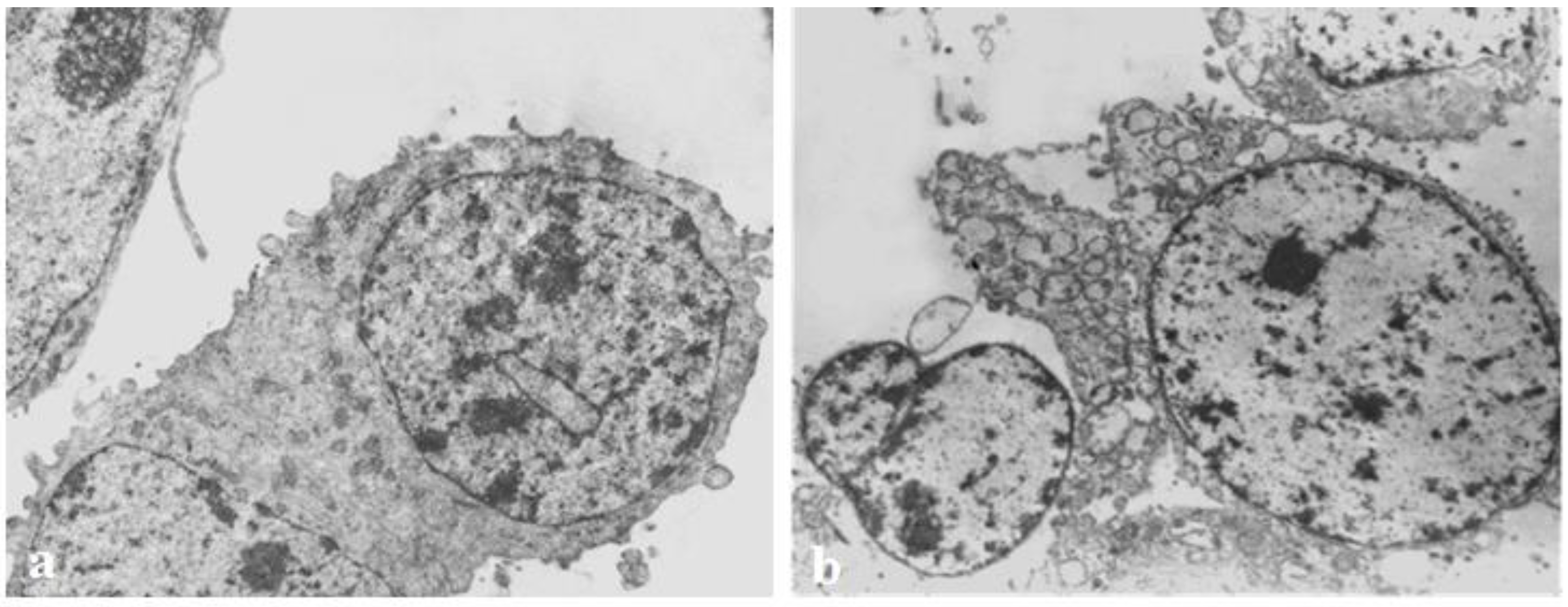 Biomedicines 11 01545 g004