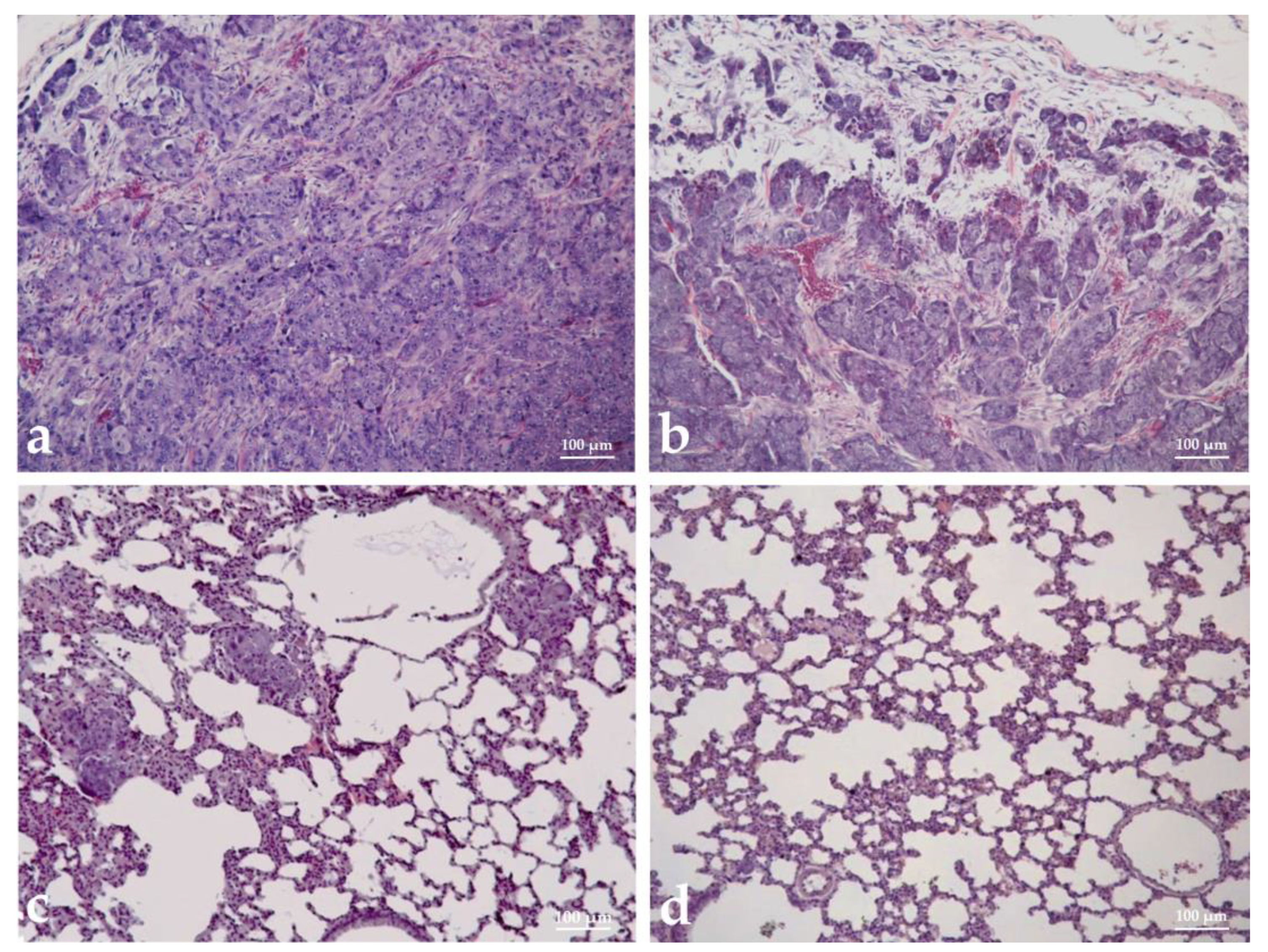 Biomedicines 11 01545 g008