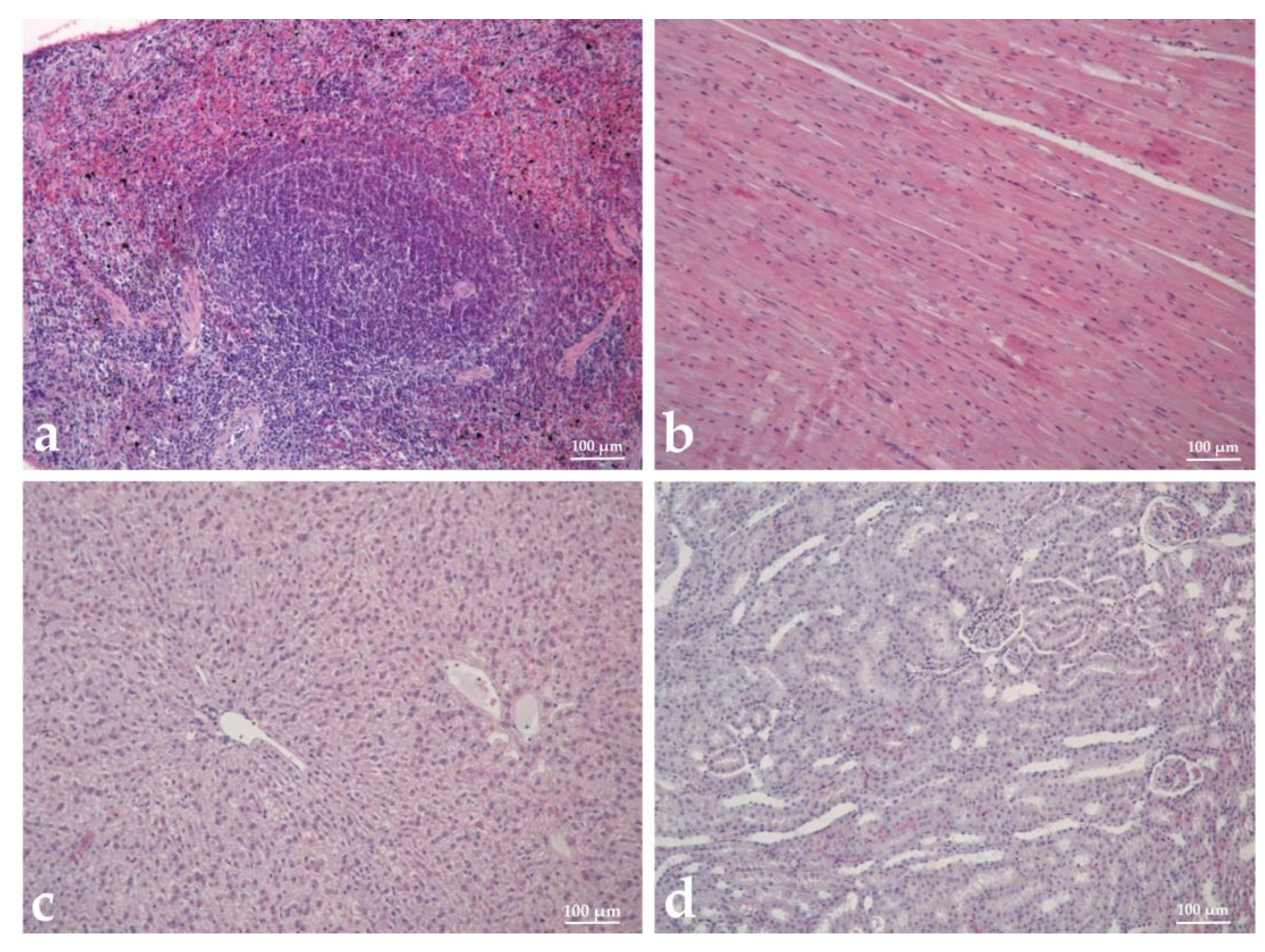 Biomedicines 11 01545 g009
