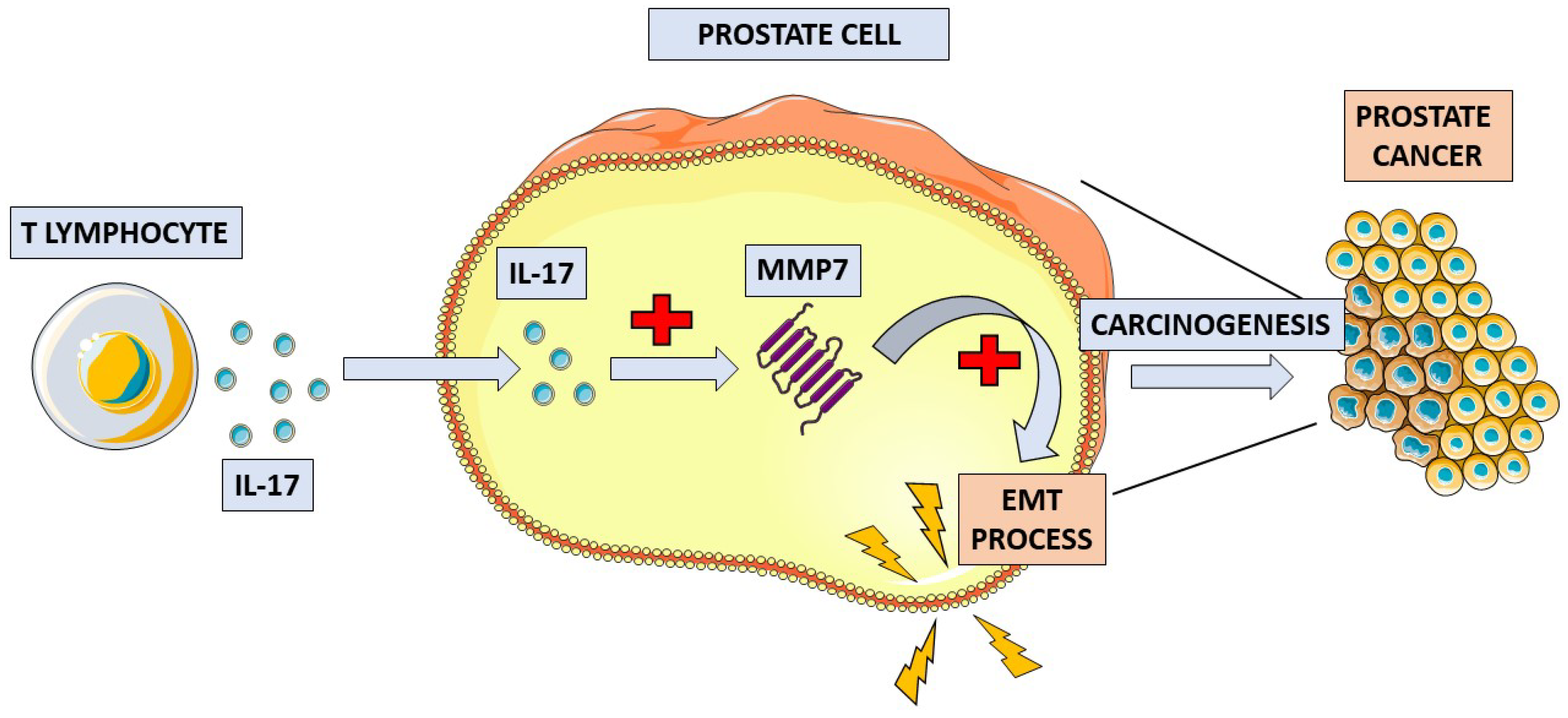 Biomedicines 11 01552 g002