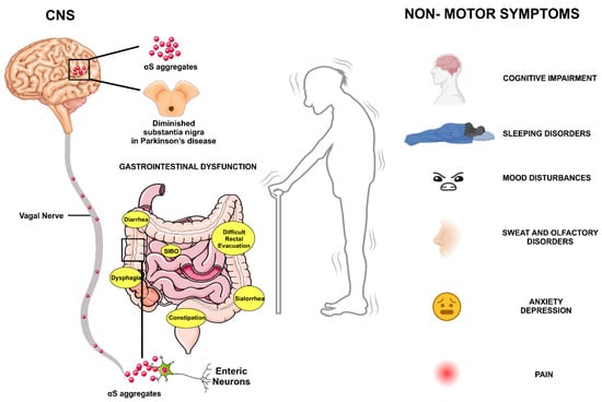 Cognitive impairments correlate with increased central nervous