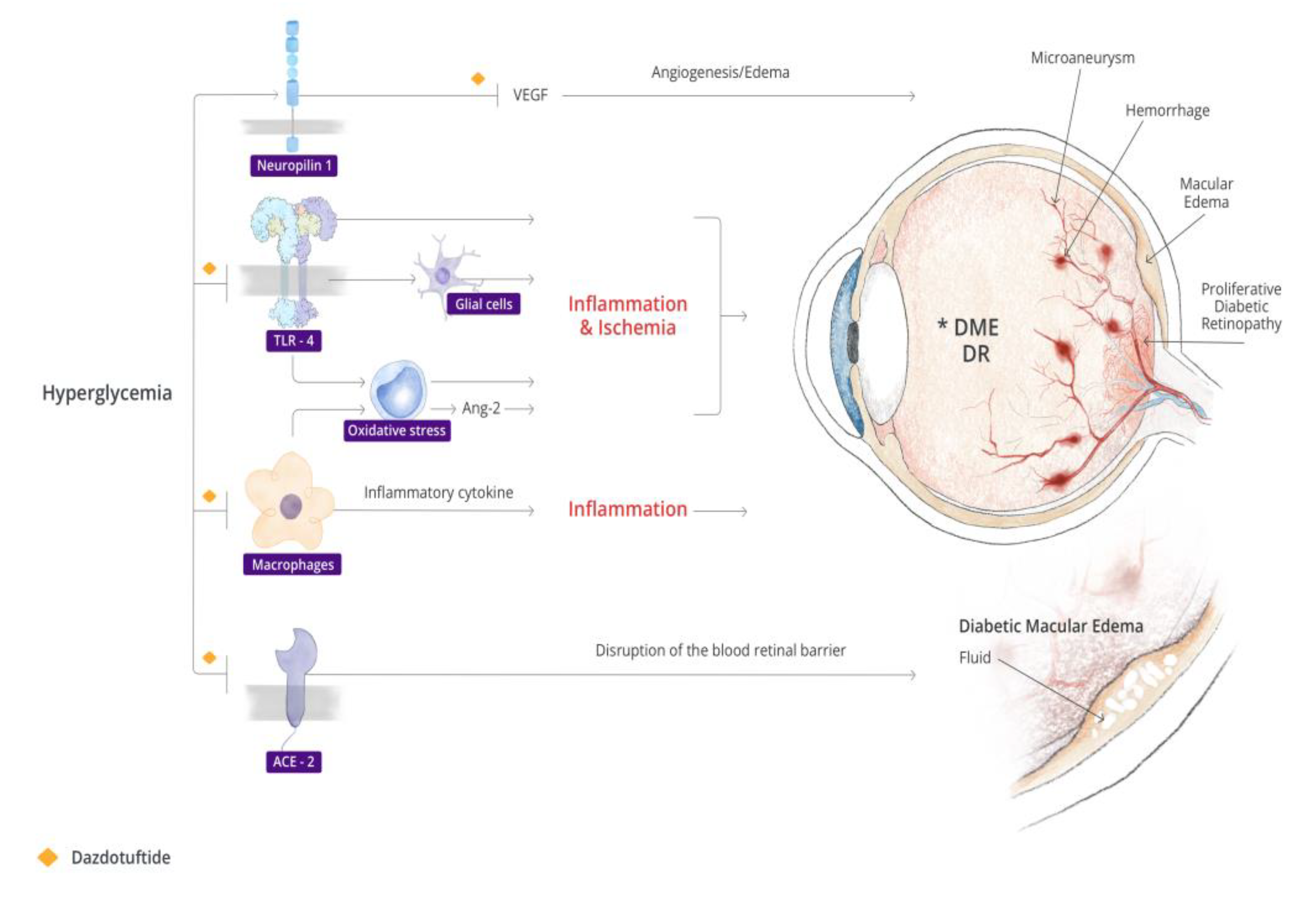 Biomedicines 11 01562 g001 Biomedicines 11 01562 g001