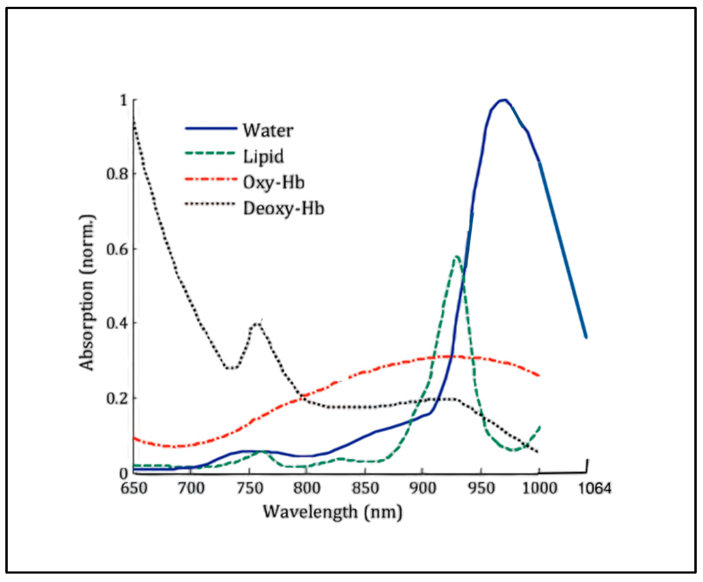 Biomedicines 11 01634 g007 Biomedicines 11 01634 g007