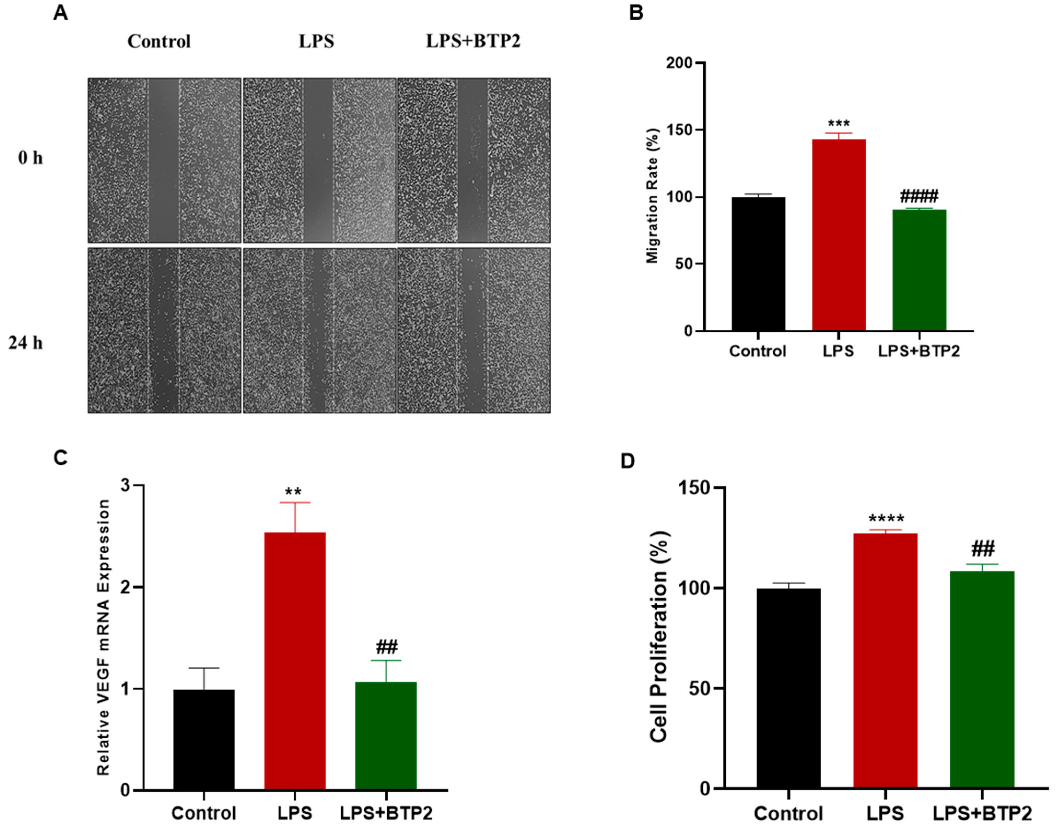Biomedicines 11 01637 g004