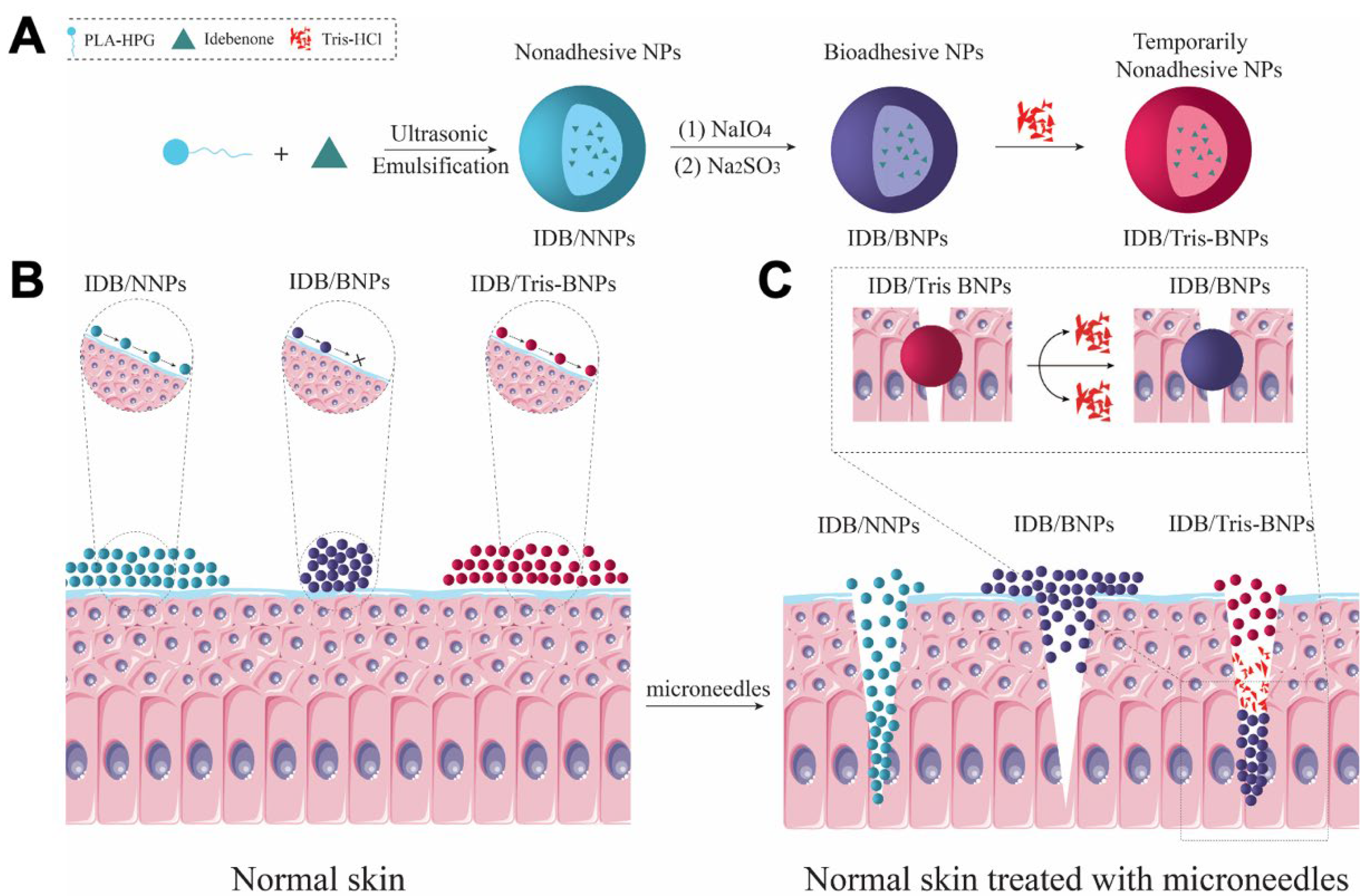Biomedicines 11 01649 g001