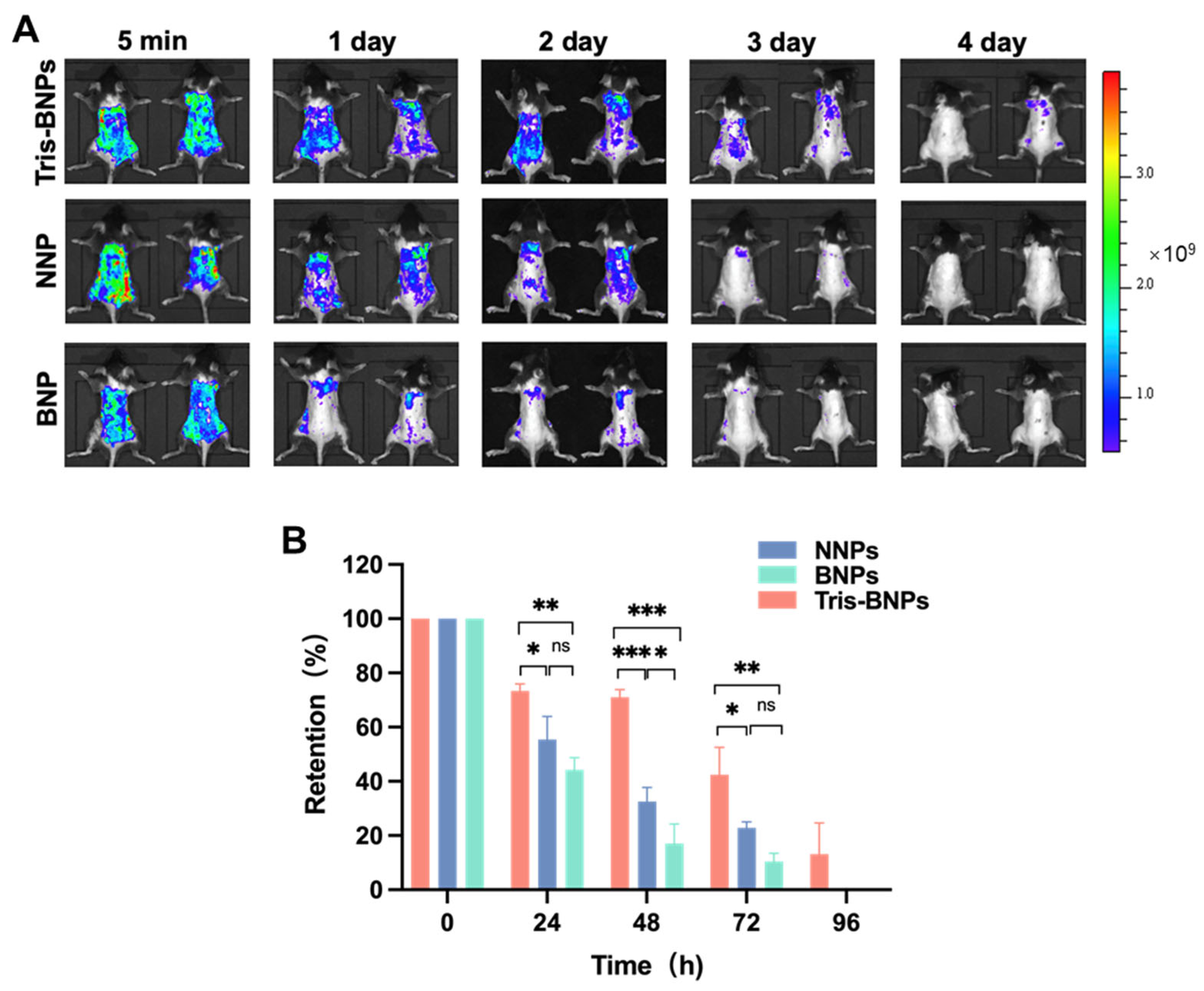 Biomedicines 11 01649 g006
