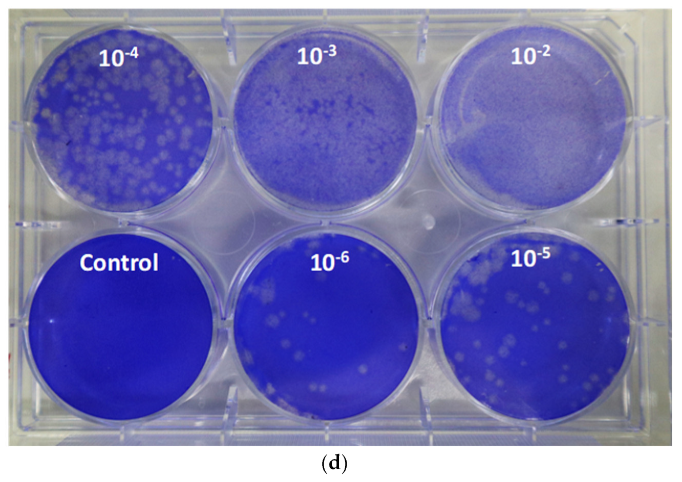 Biomedicines 11 01658 g003b Biomedicines 11 01658 g003b