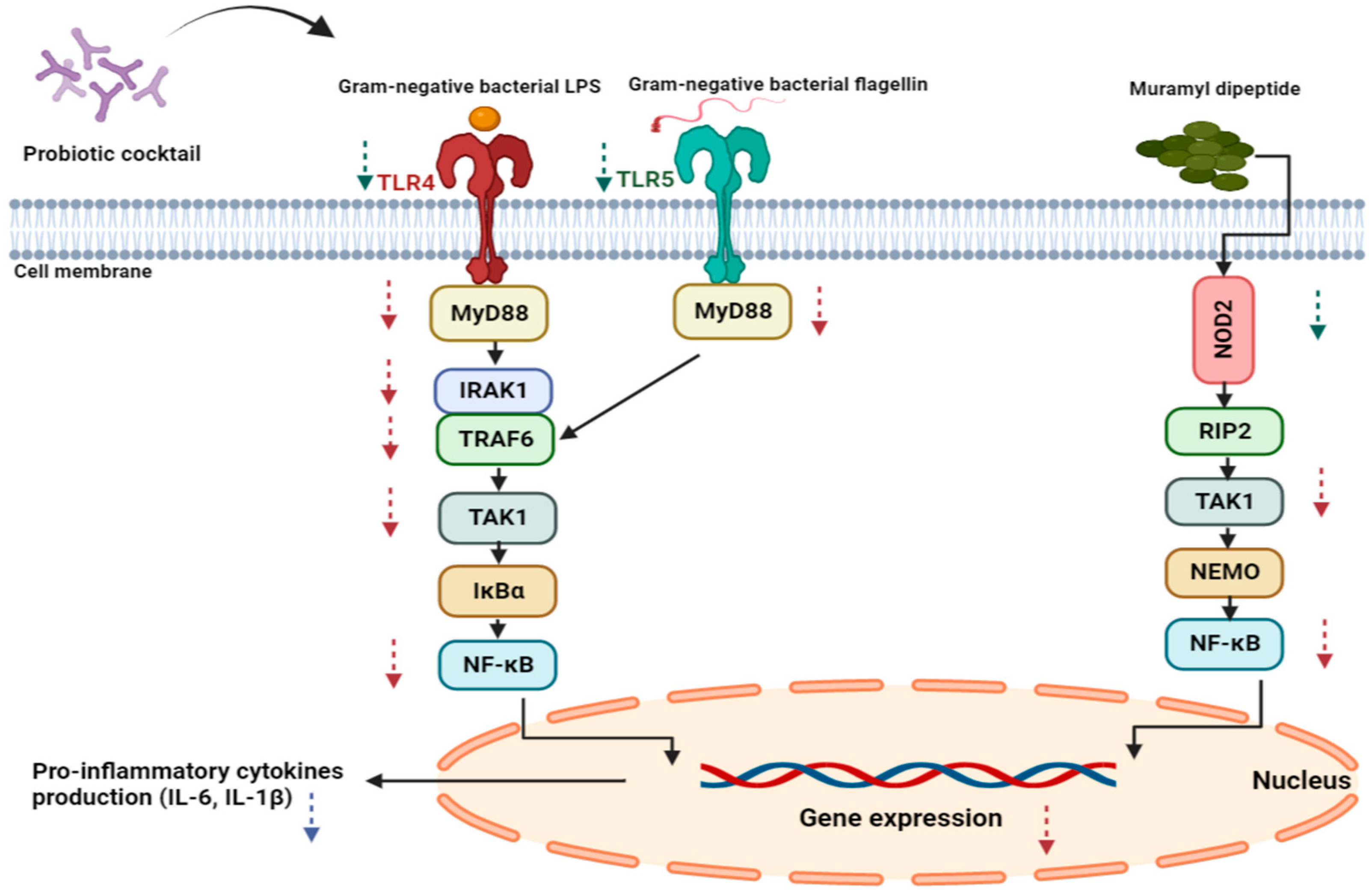 Biomedicines 11 01675 g001