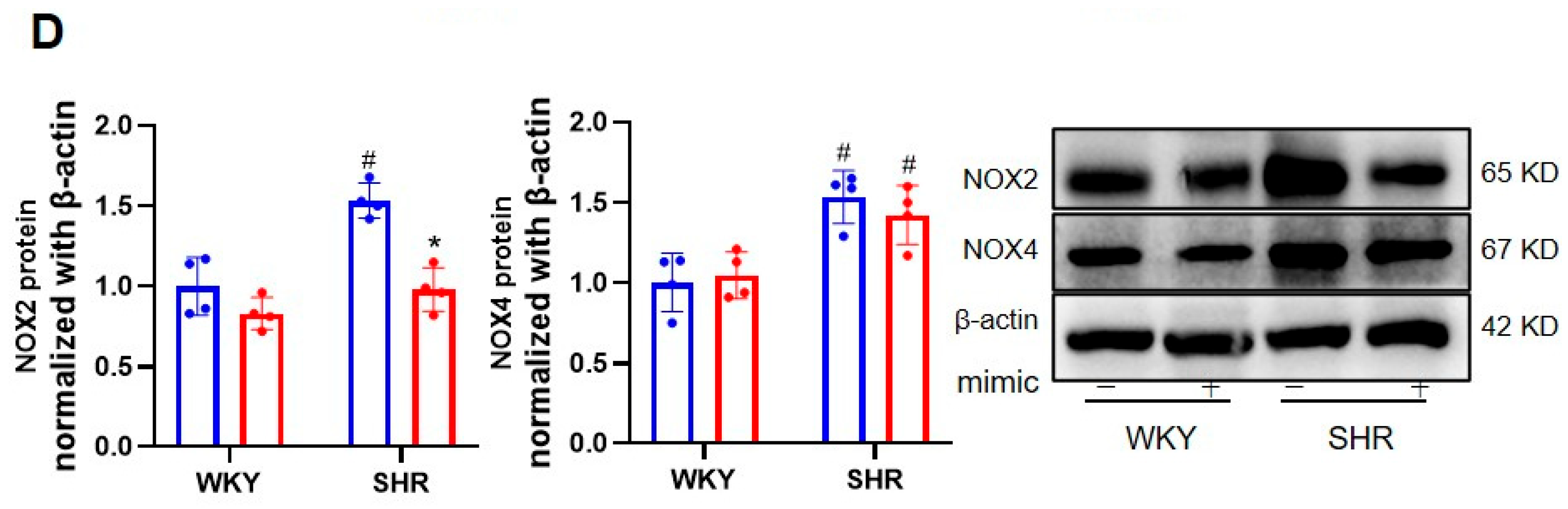 Biomedicines 11 01679 g001b