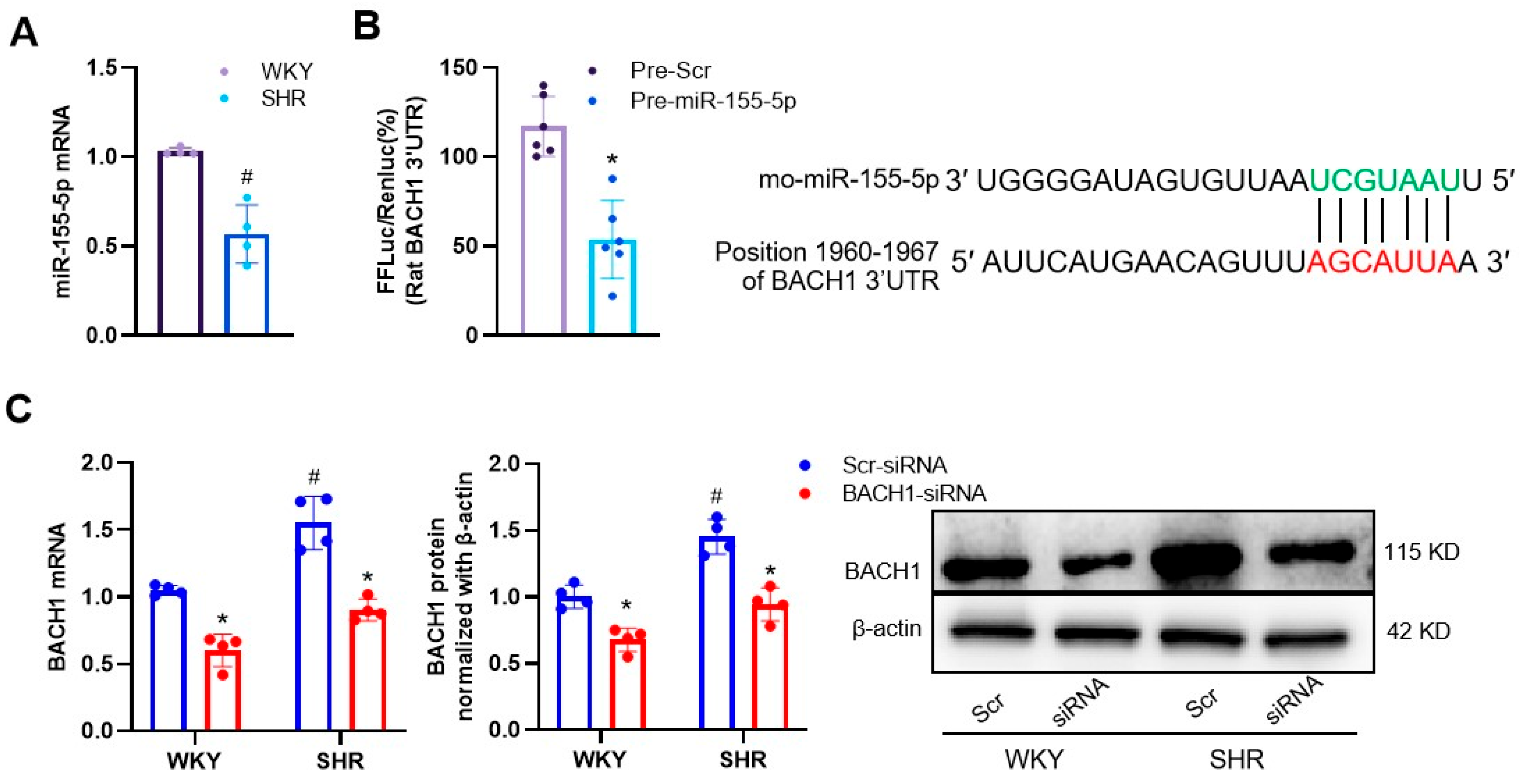 Biomedicines 11 01679 g003