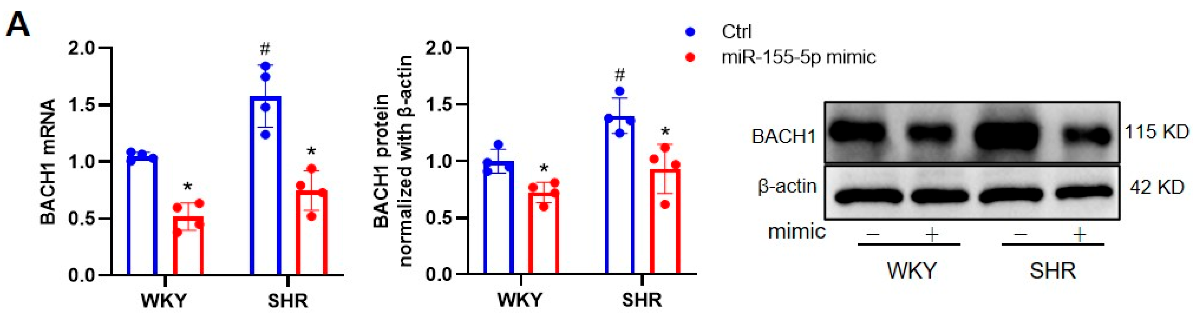 Biomedicines 11 01679 g004a