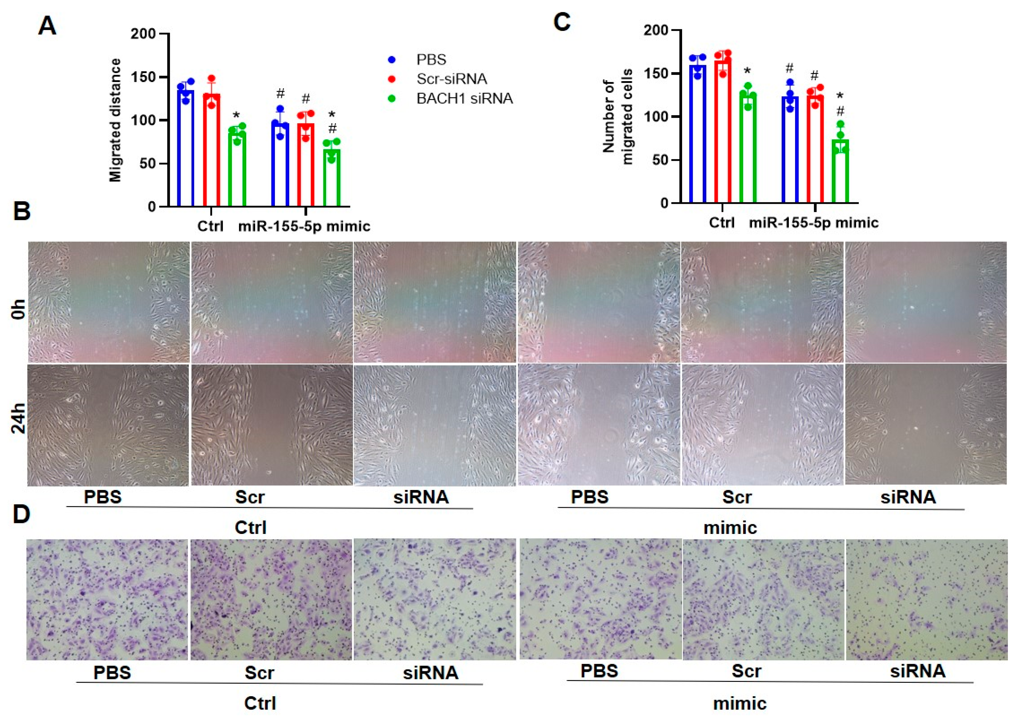 Biomedicines 11 01679 g007