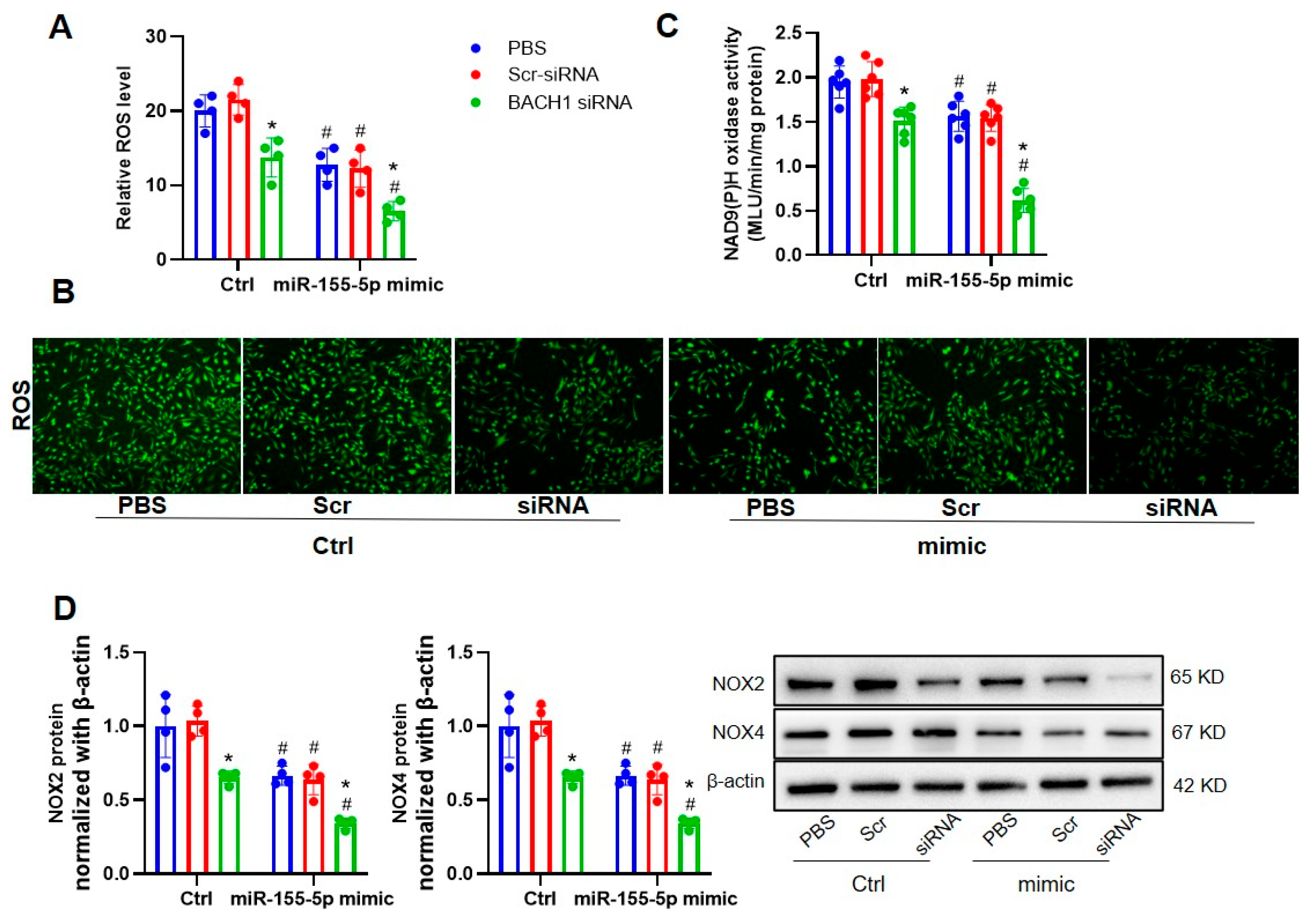 Biomedicines 11 01679 g008