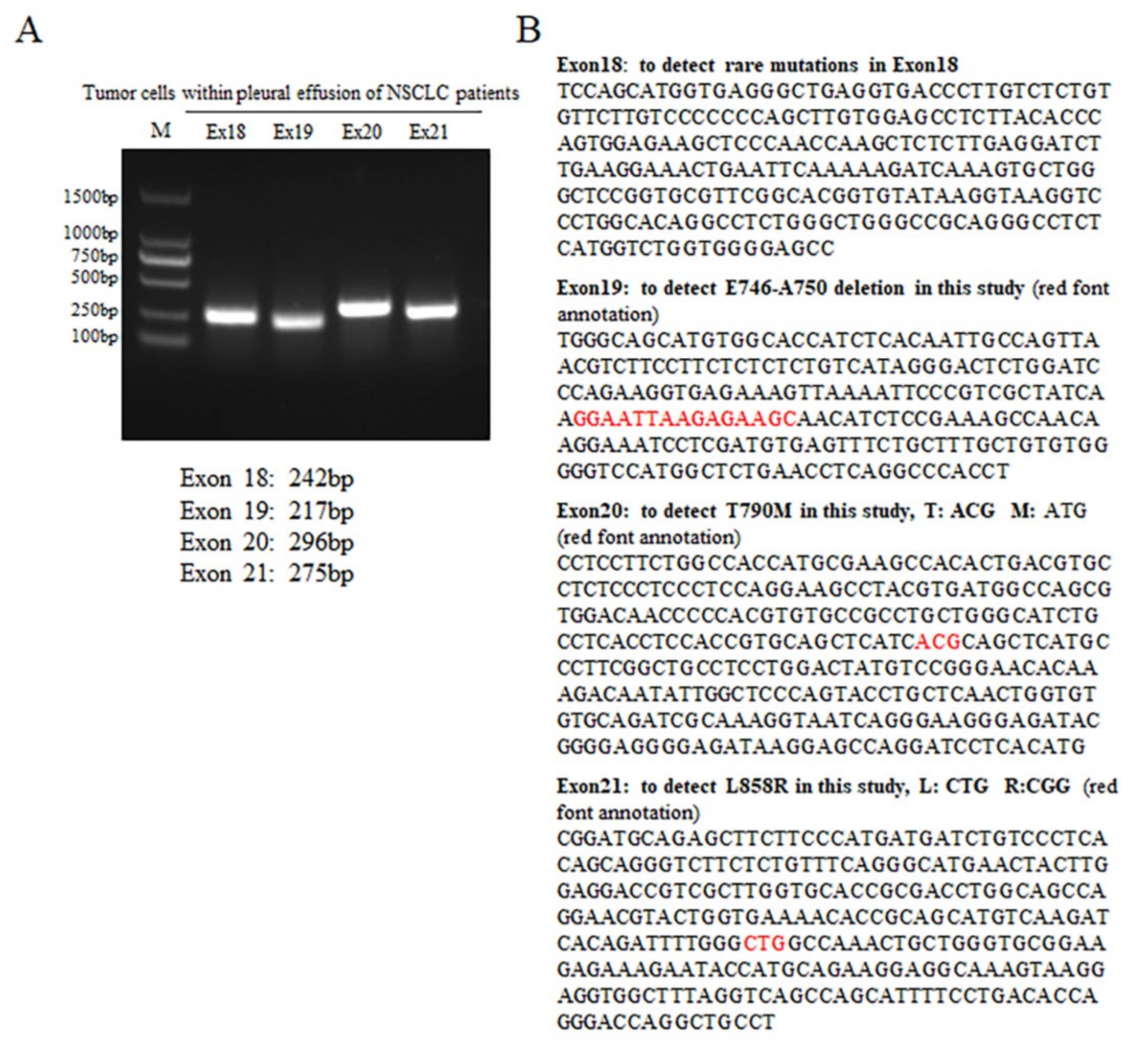 Biomedicines 11 01721 g001 Biomedicines 11 01721 g001