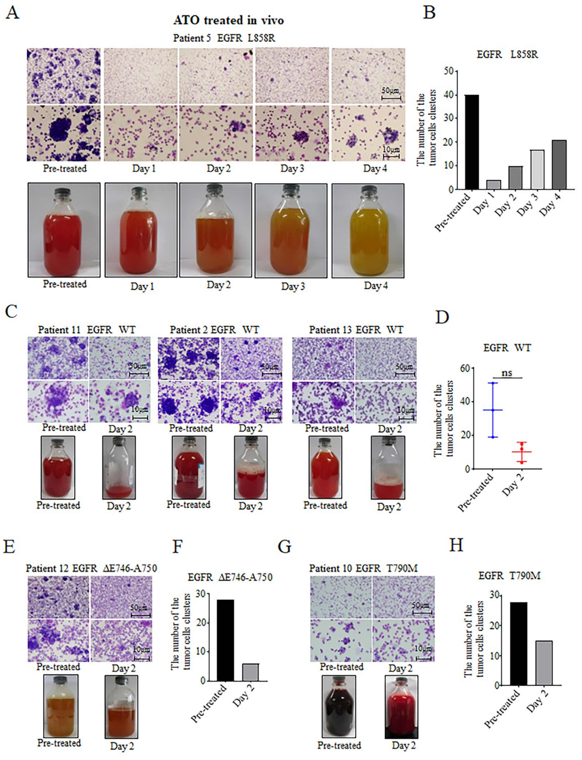 Biomedicines 11 01721 g003 Biomedicines 11 01721 g003