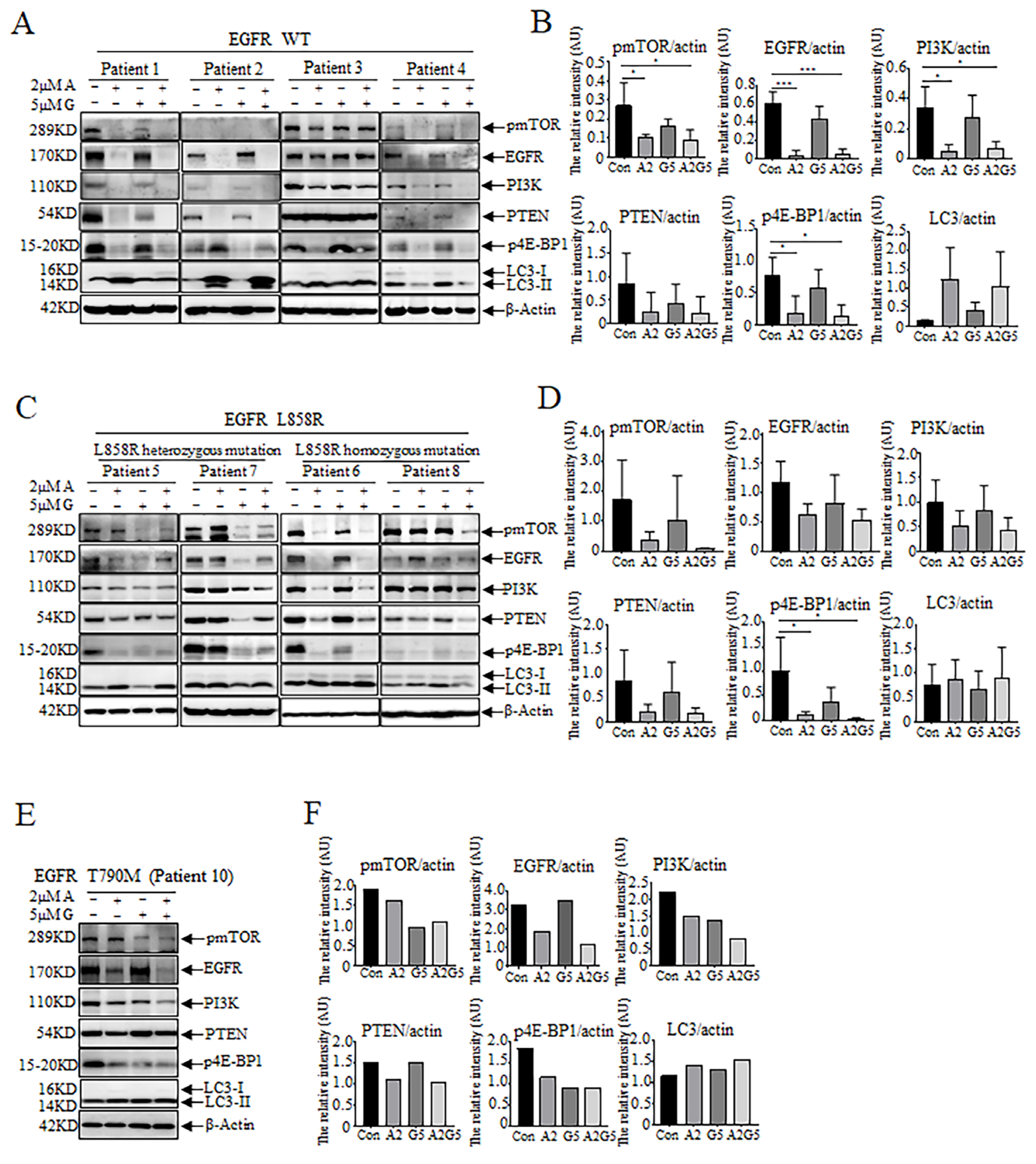 Biomedicines 11 01721 g004 Biomedicines 11 01721 g004