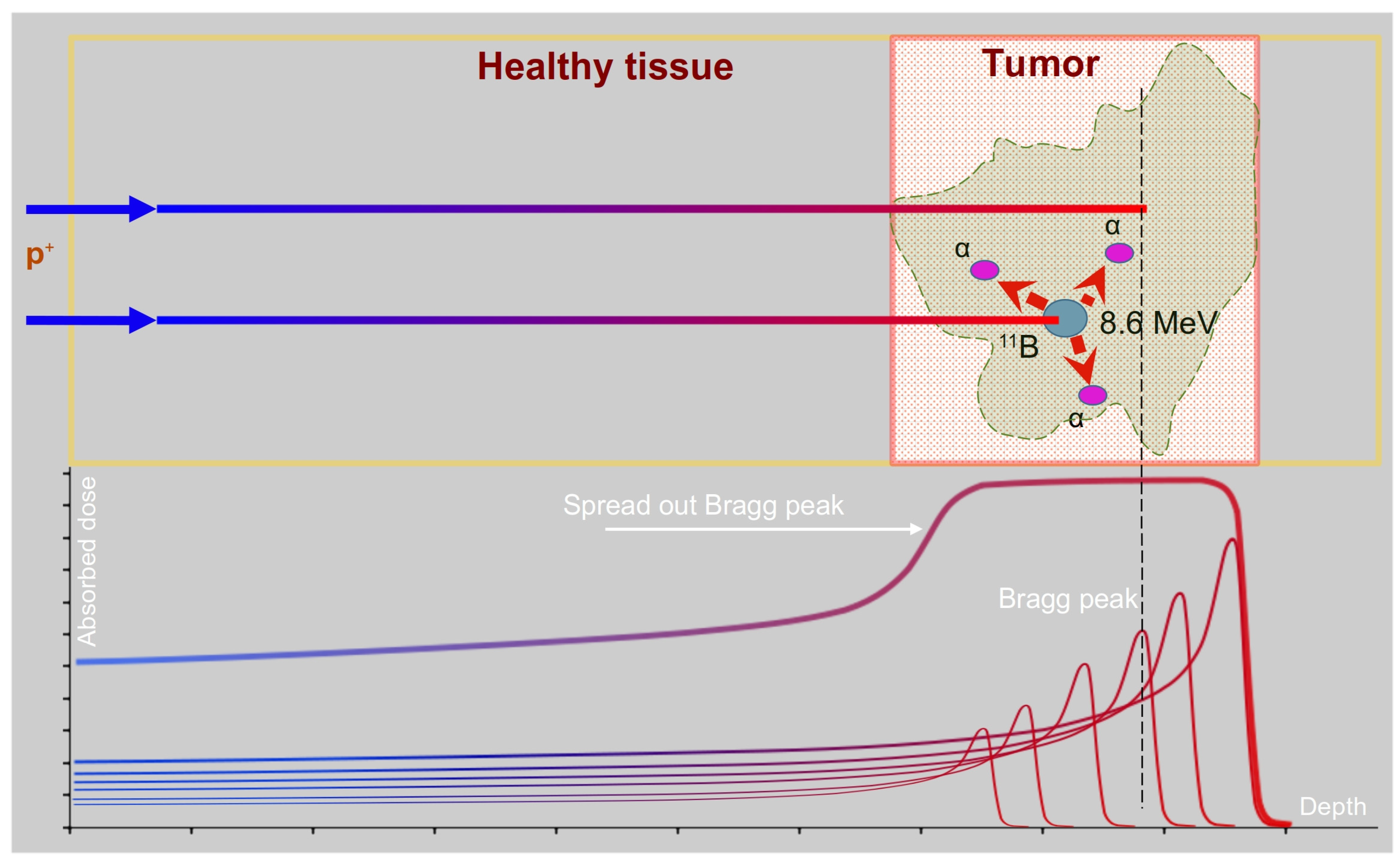 Biomedicines 11 01727 g001
