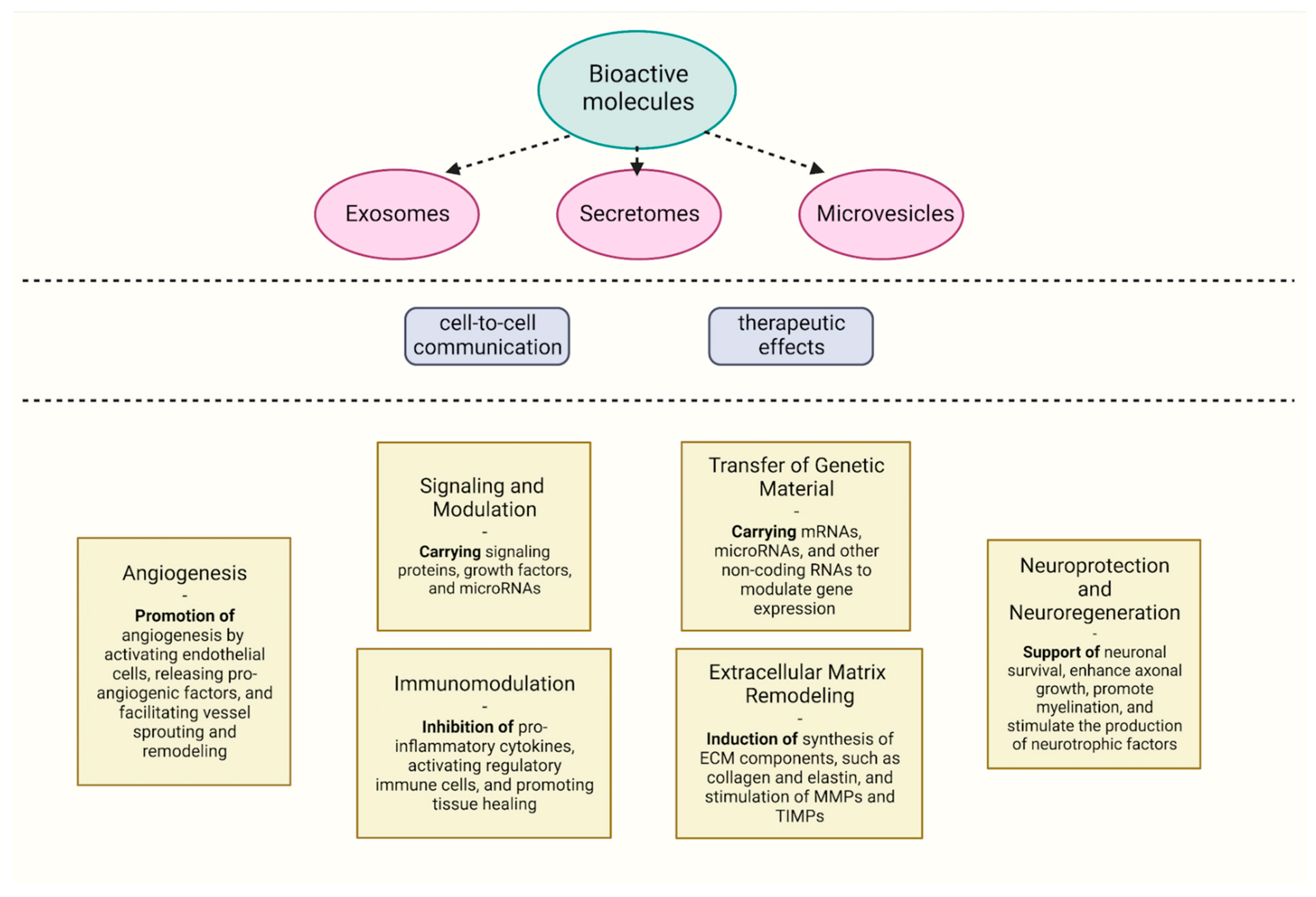 Biomedicines 11 01736 g001