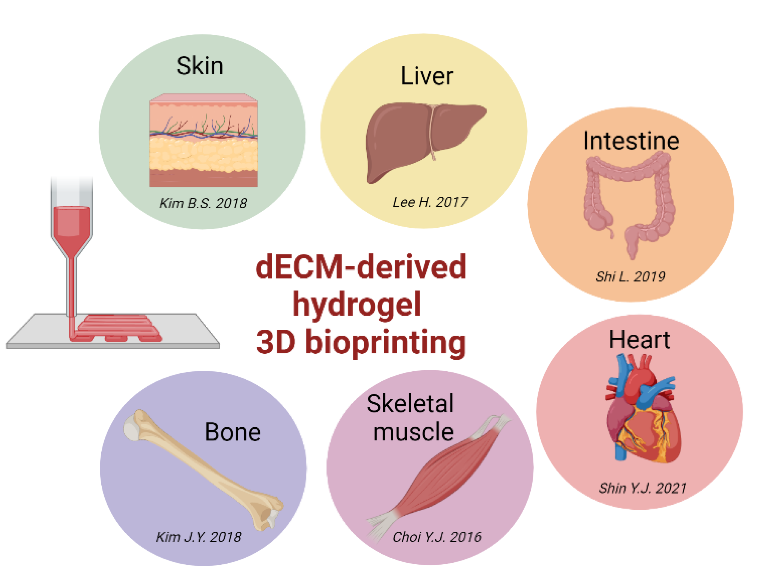 Biomedicines | Free Full-Text | Three-Dimensional Bioprinting of Naturally  Derived Hydrogels for the Production of Biomimetic Living Tissues: Benefits  and Challenges