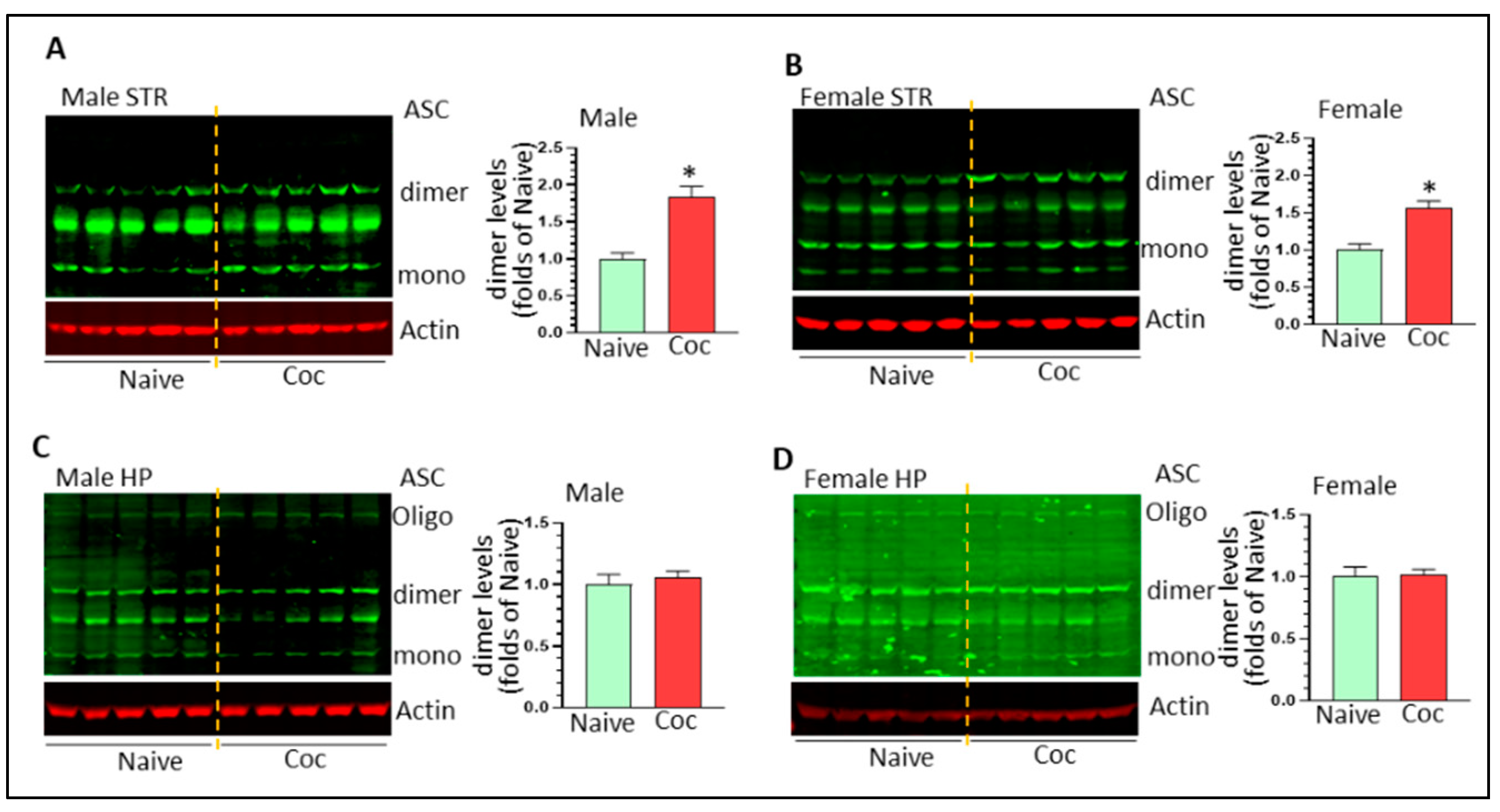 Biomedicines 11 01800 g005