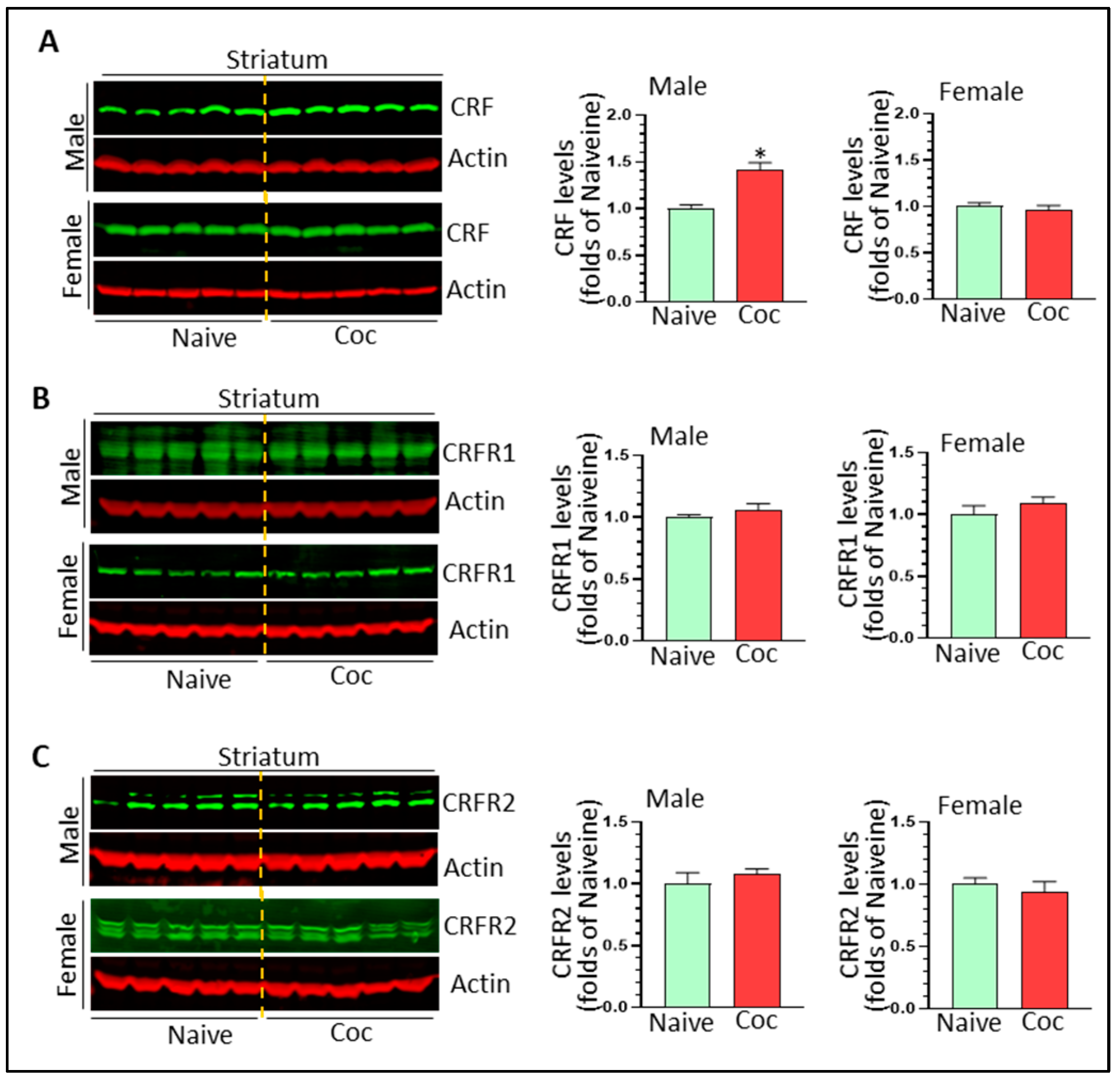 Biomedicines 11 01800 g006