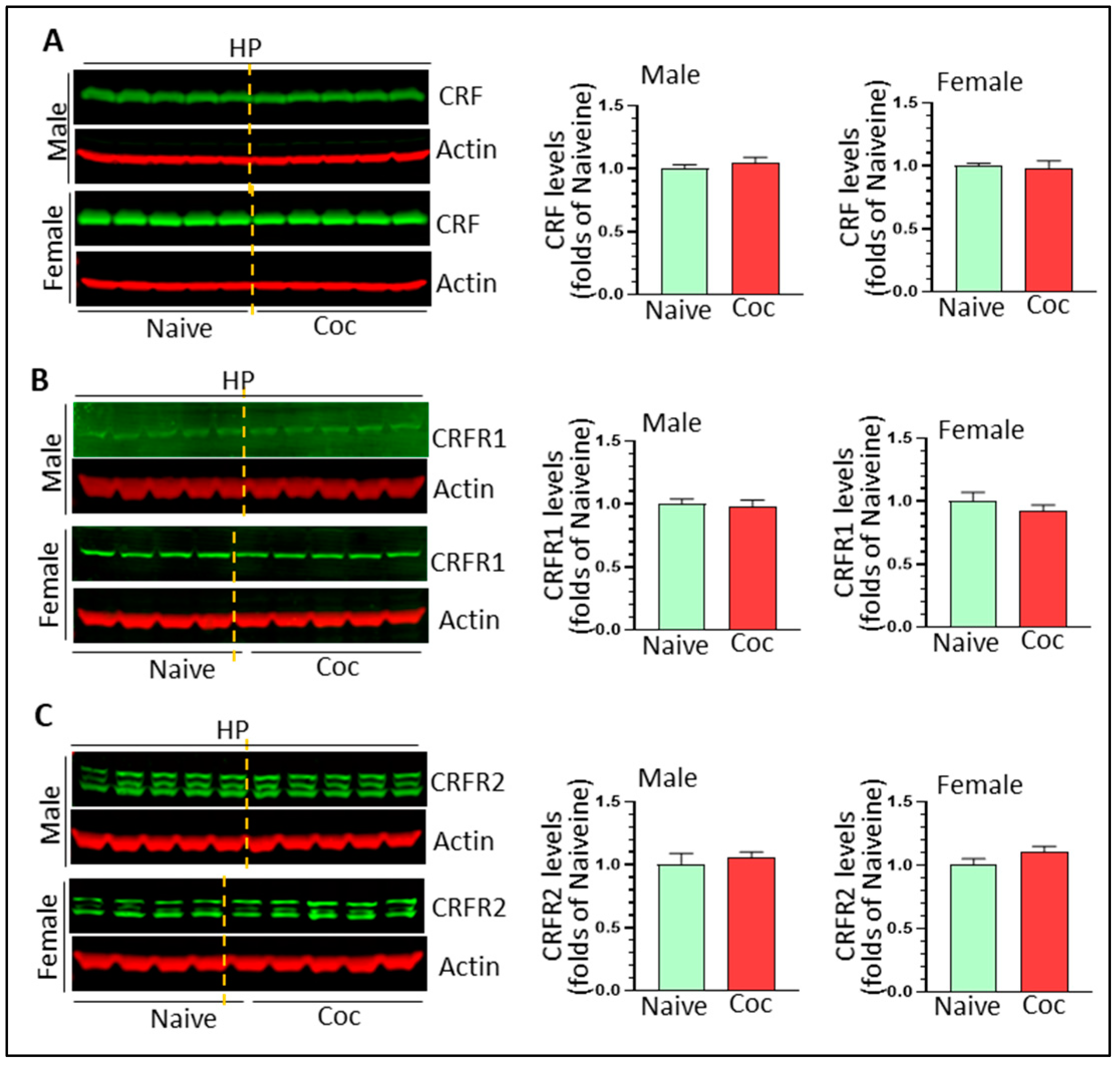 Biomedicines 11 01800 g007