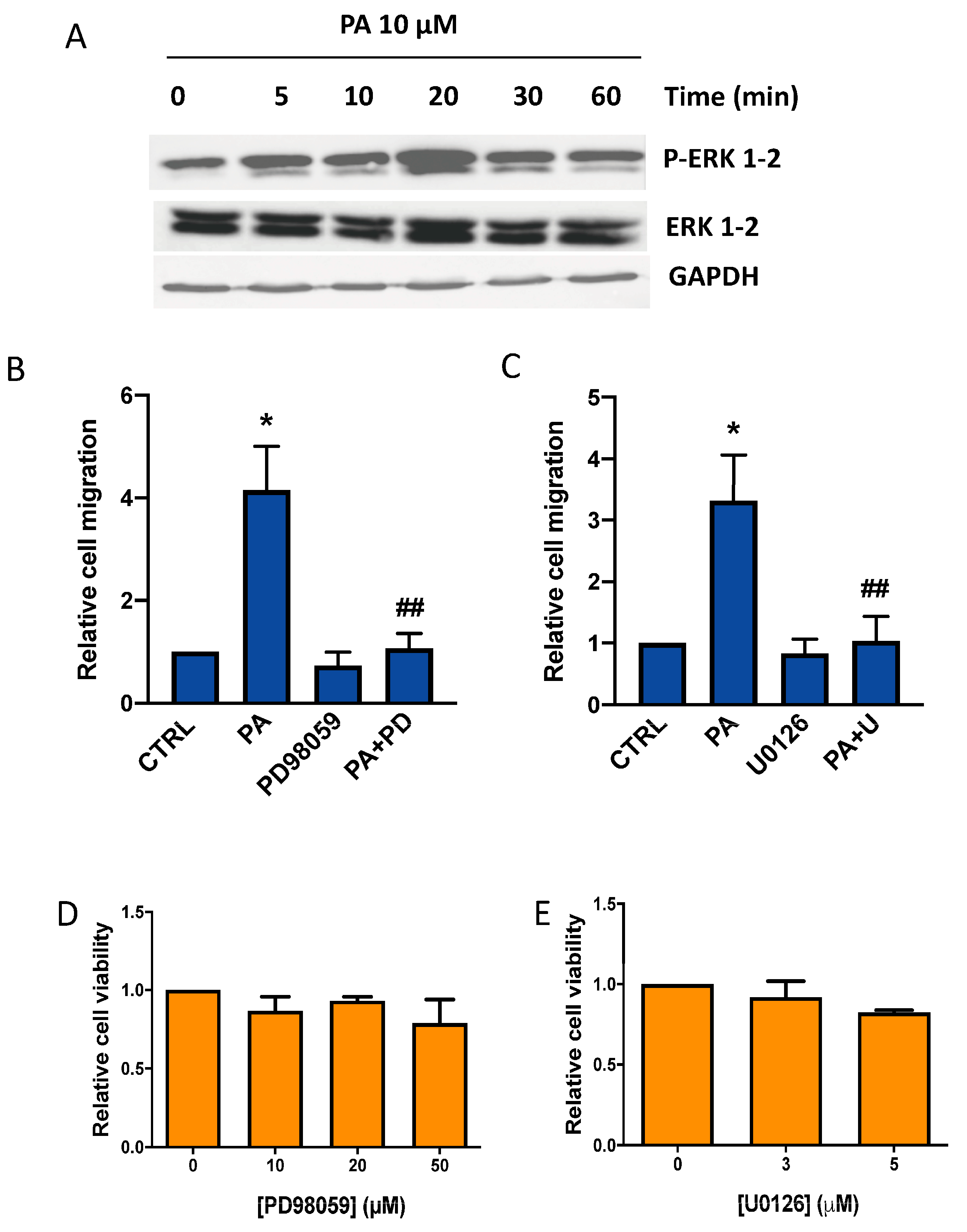 Biomedicines 11 01804 g003 Biomedicines 11 01804 g003