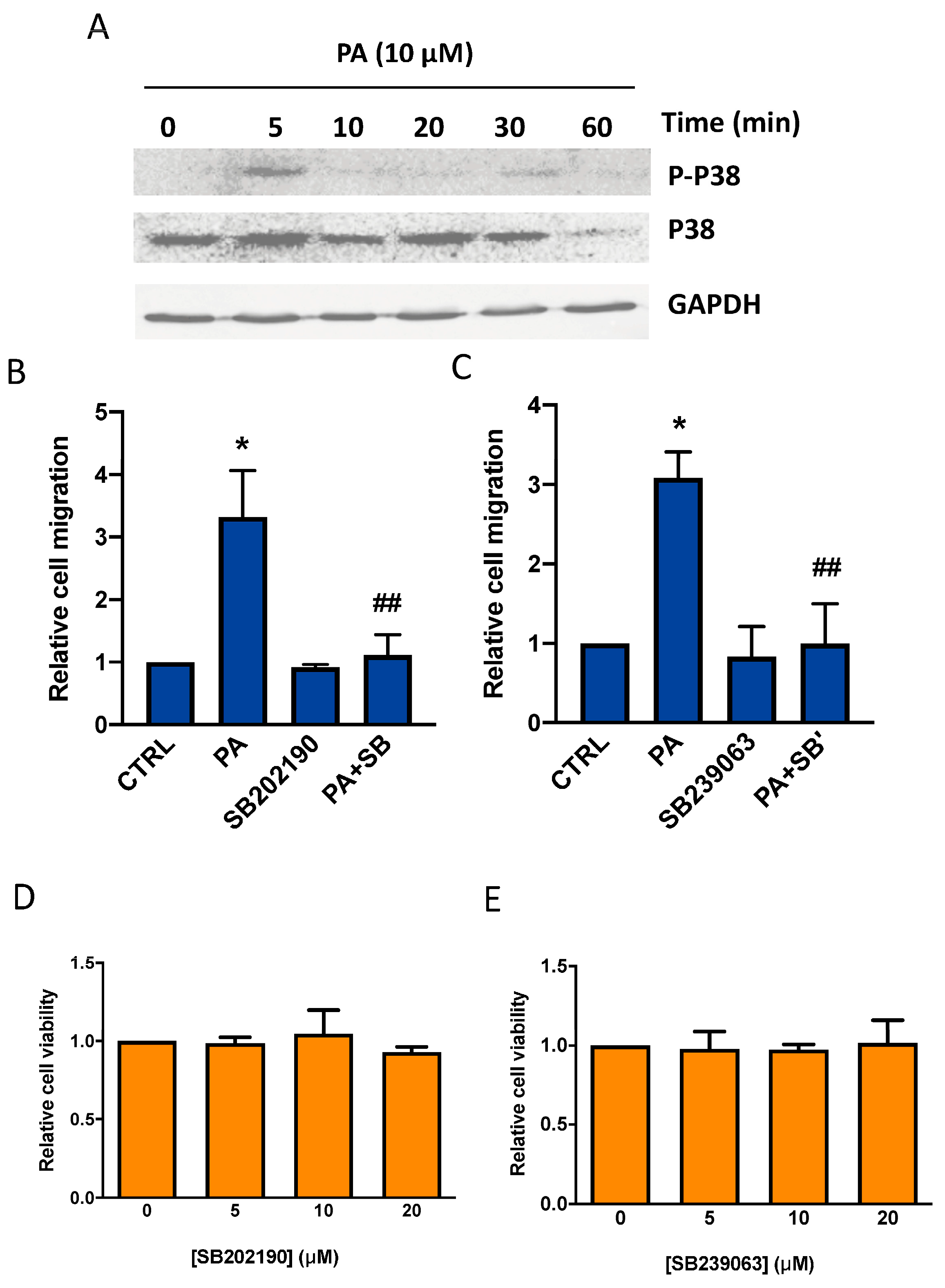 Biomedicines 11 01804 g004 Biomedicines 11 01804 g004