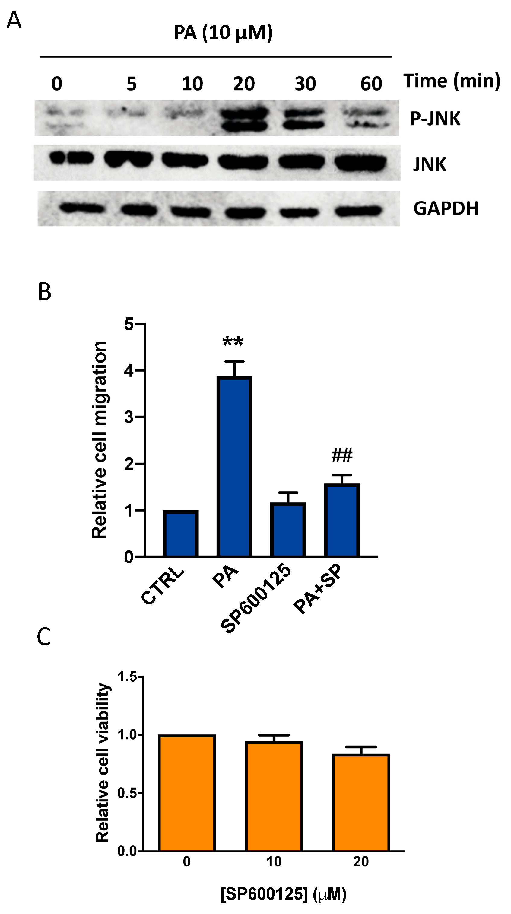 Biomedicines 11 01804 g005 Biomedicines 11 01804 g005